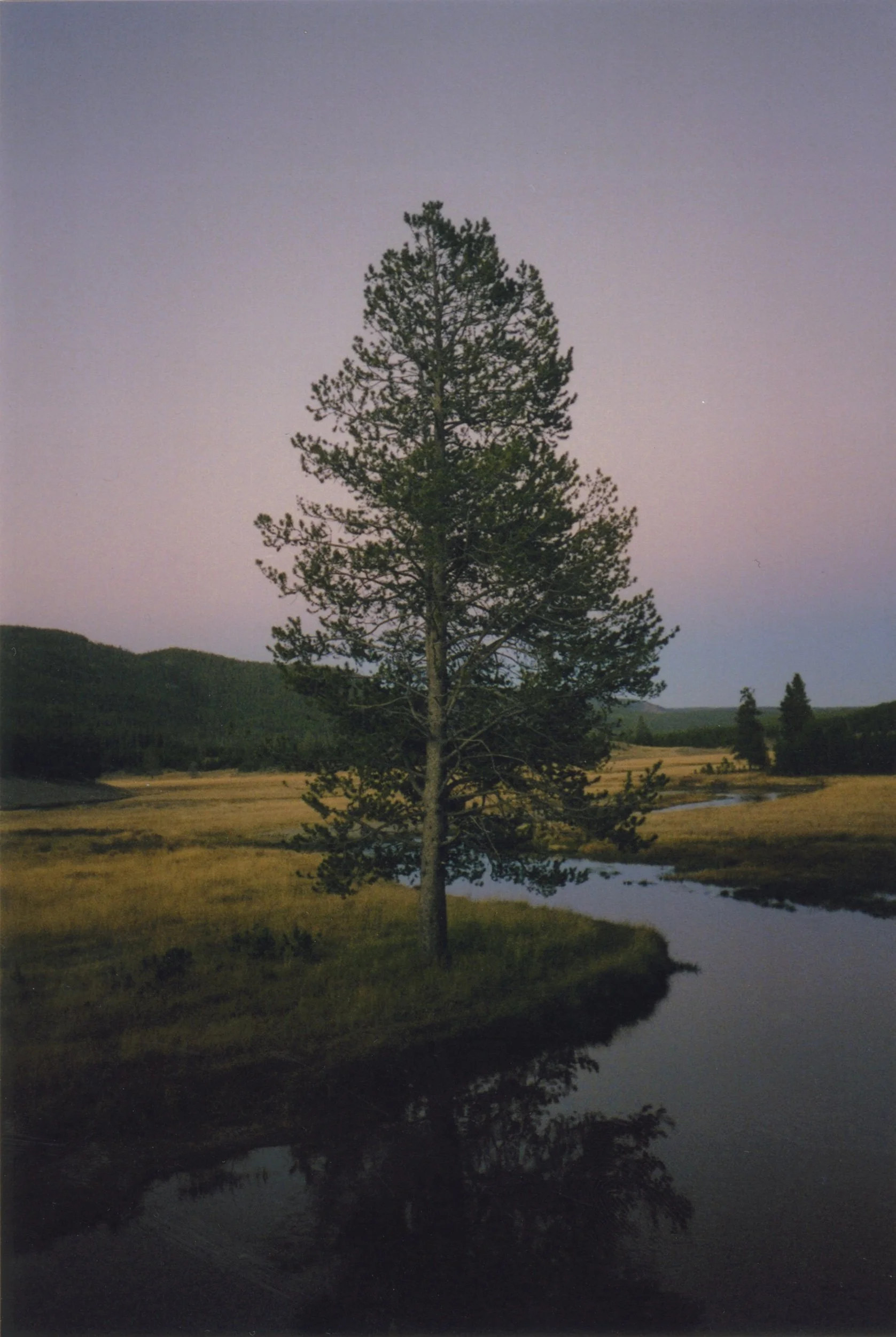 untitled-73.jpeg