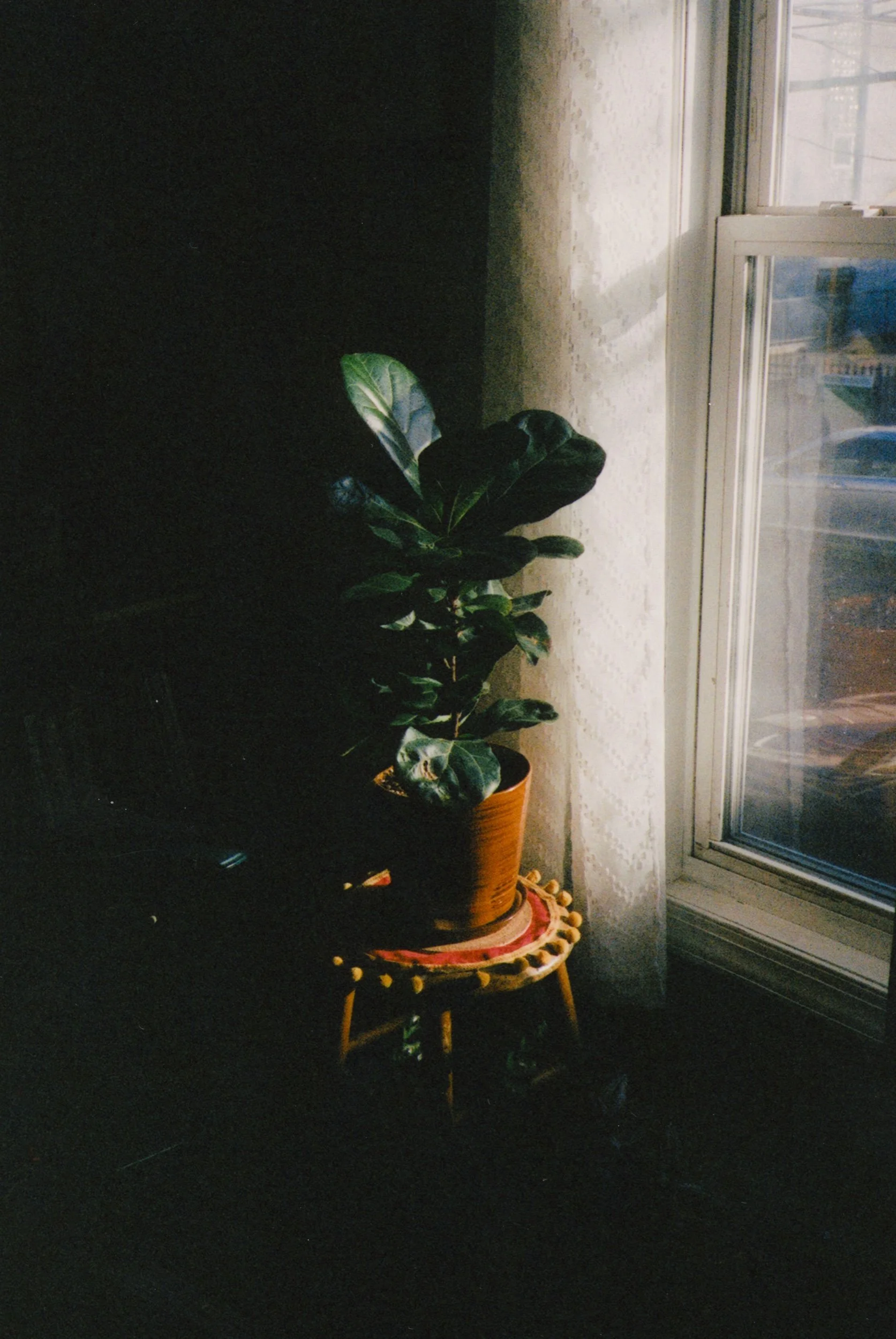 untitled-32.jpeg