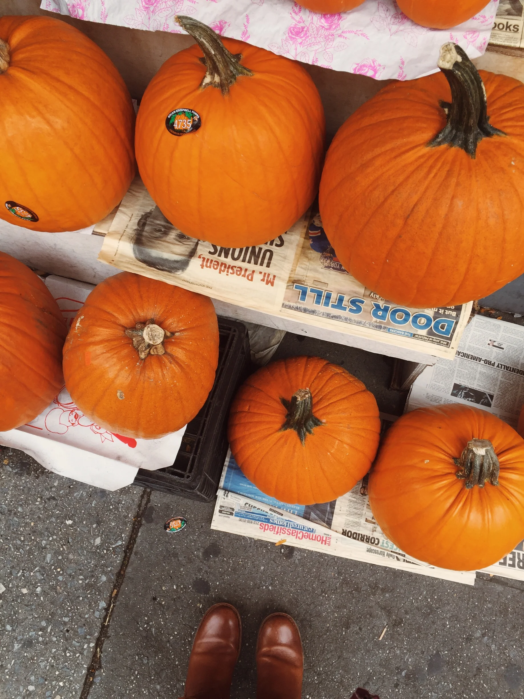 Pumpkins in NYC