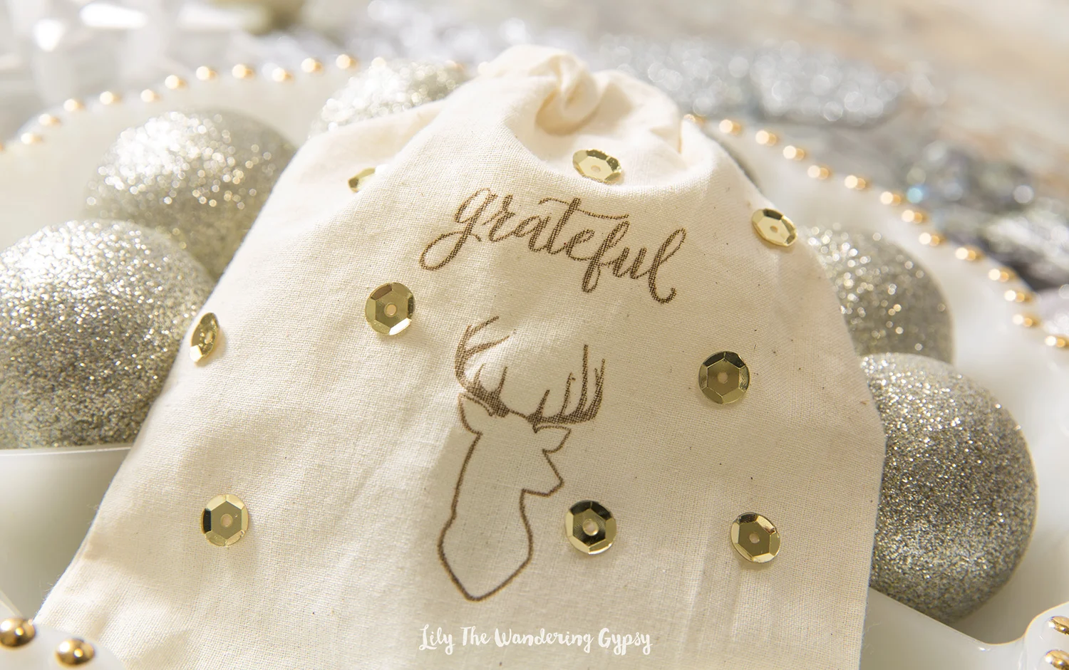 Check out these adorable gift bags!