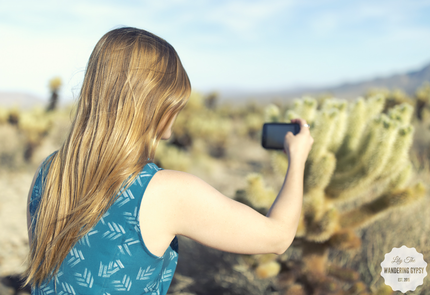 Toad&Co And Our Road Trip Through Joshua Tree — Lily The Wandering Gypsy
