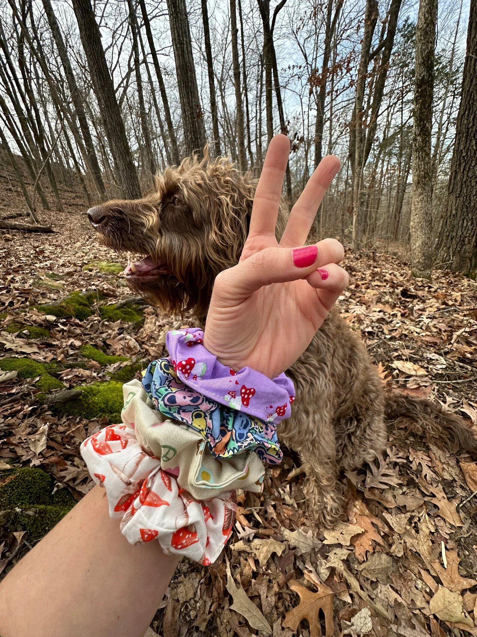 Dead Scrunchie 4.jpg