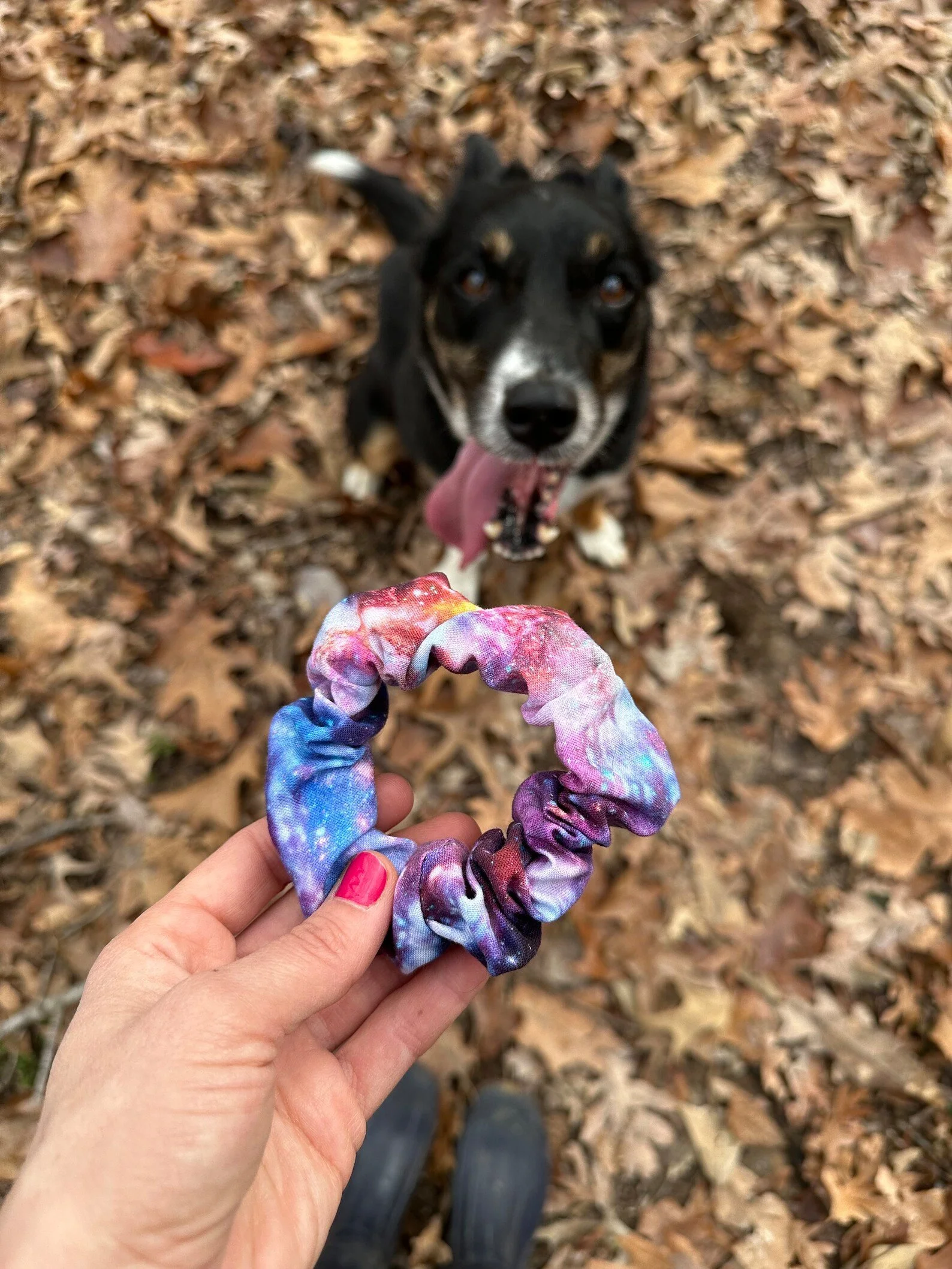 Cosmic Scrunchie4.jpg