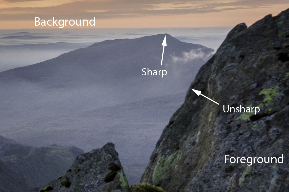 Zoomed section showing contrast between sharpness of background and foreground - no sharpening applied