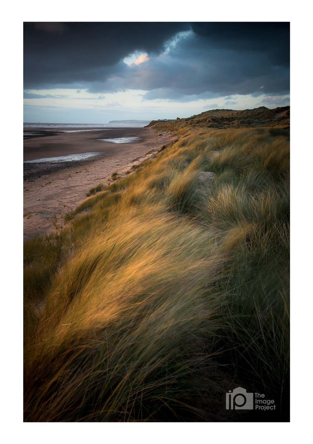 Evening light hits grassy sand dunes at Drigg