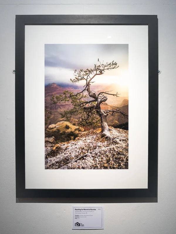 Reaching for warmth of sunrise, £225, NB25