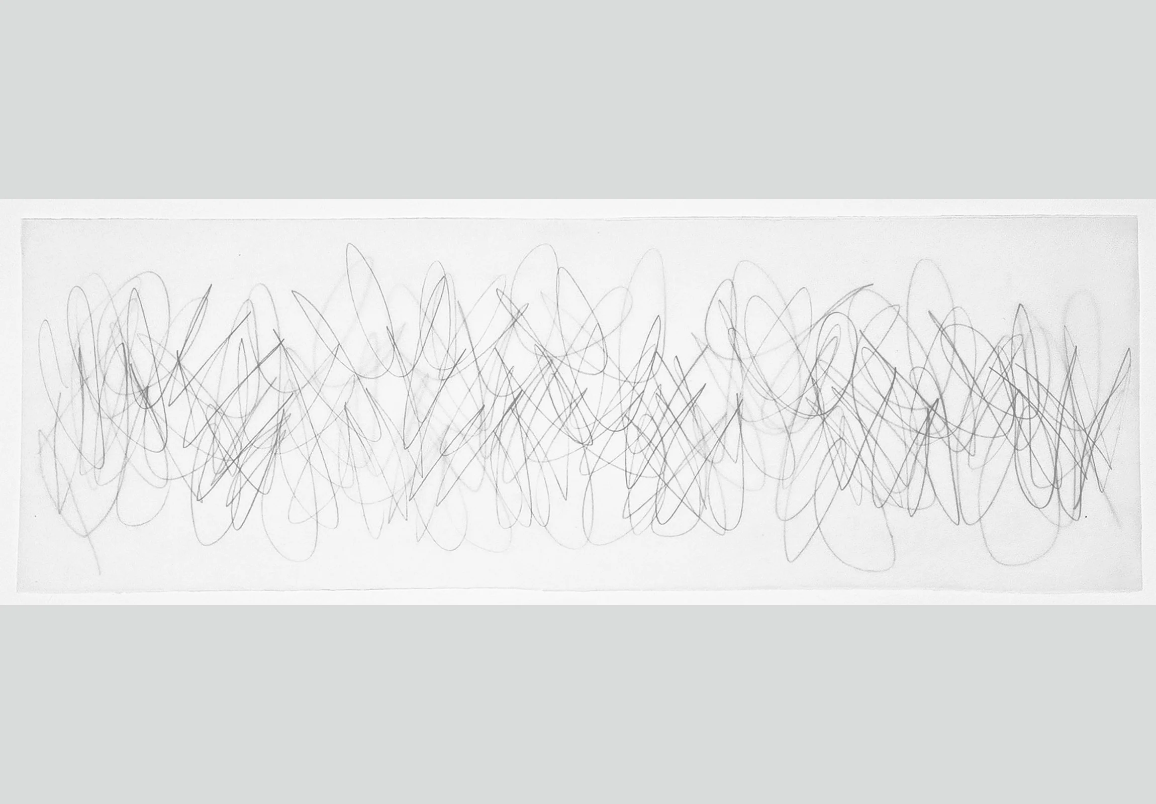 Catherine L. Johnson