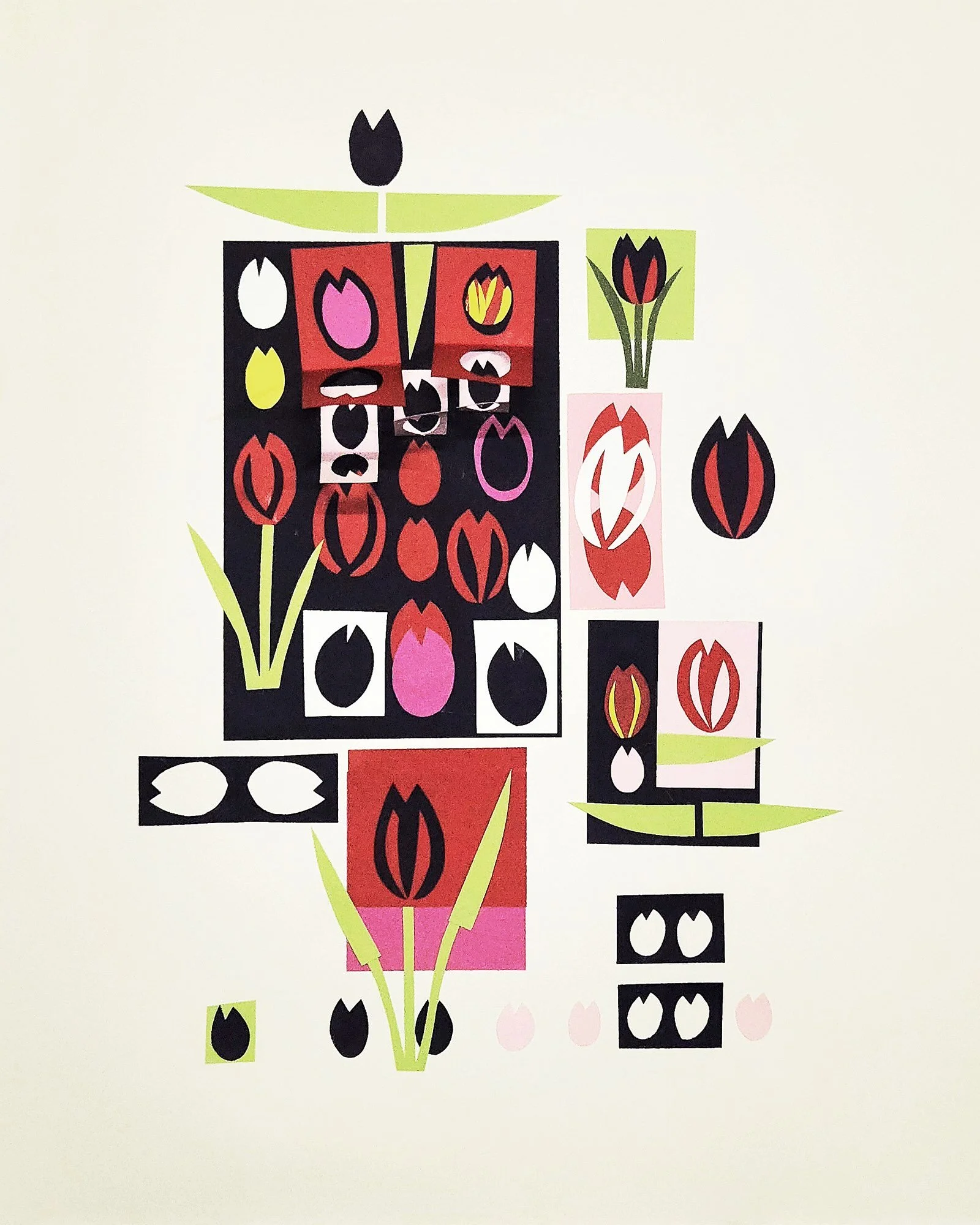 Catherine L Johnson