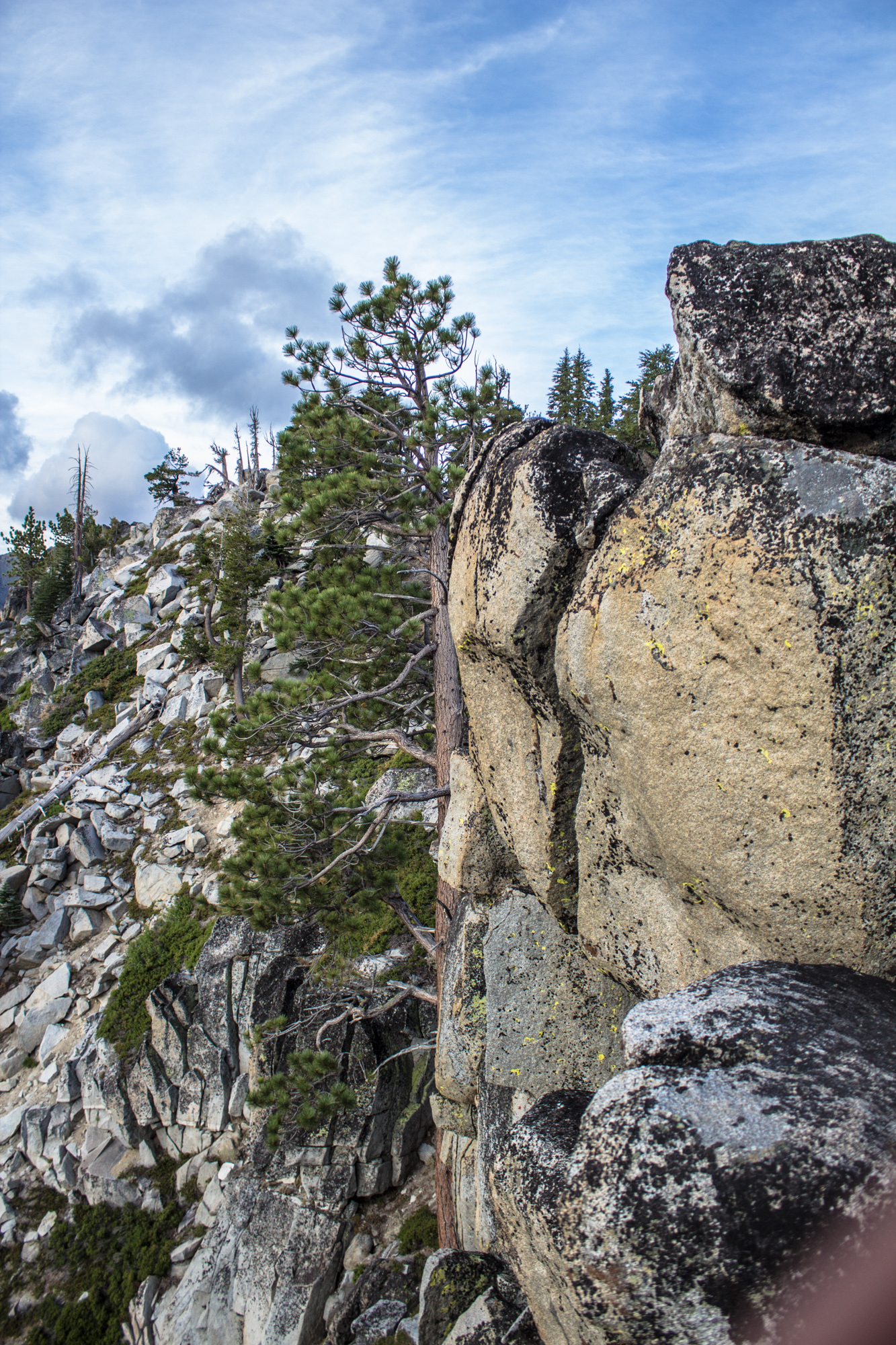 20150829-ChasingTahoe-190.jpg