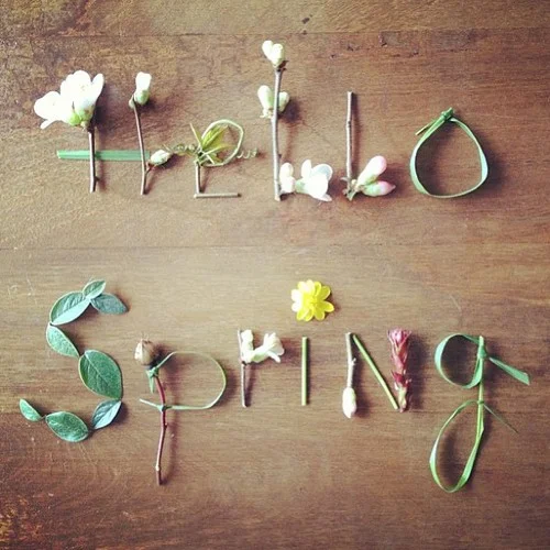 hello-spring.jpg