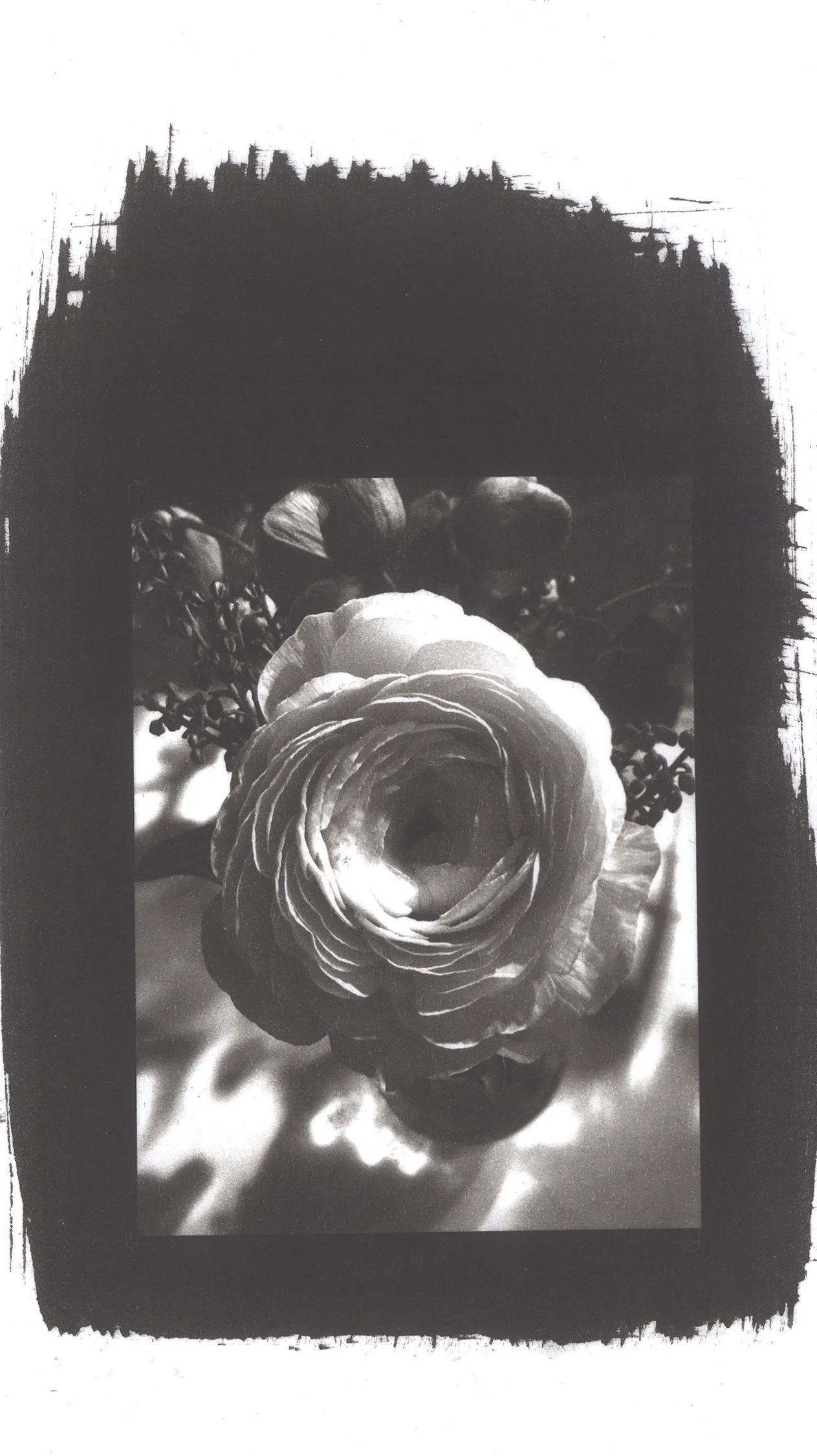 AppelL_Flower3.jpg