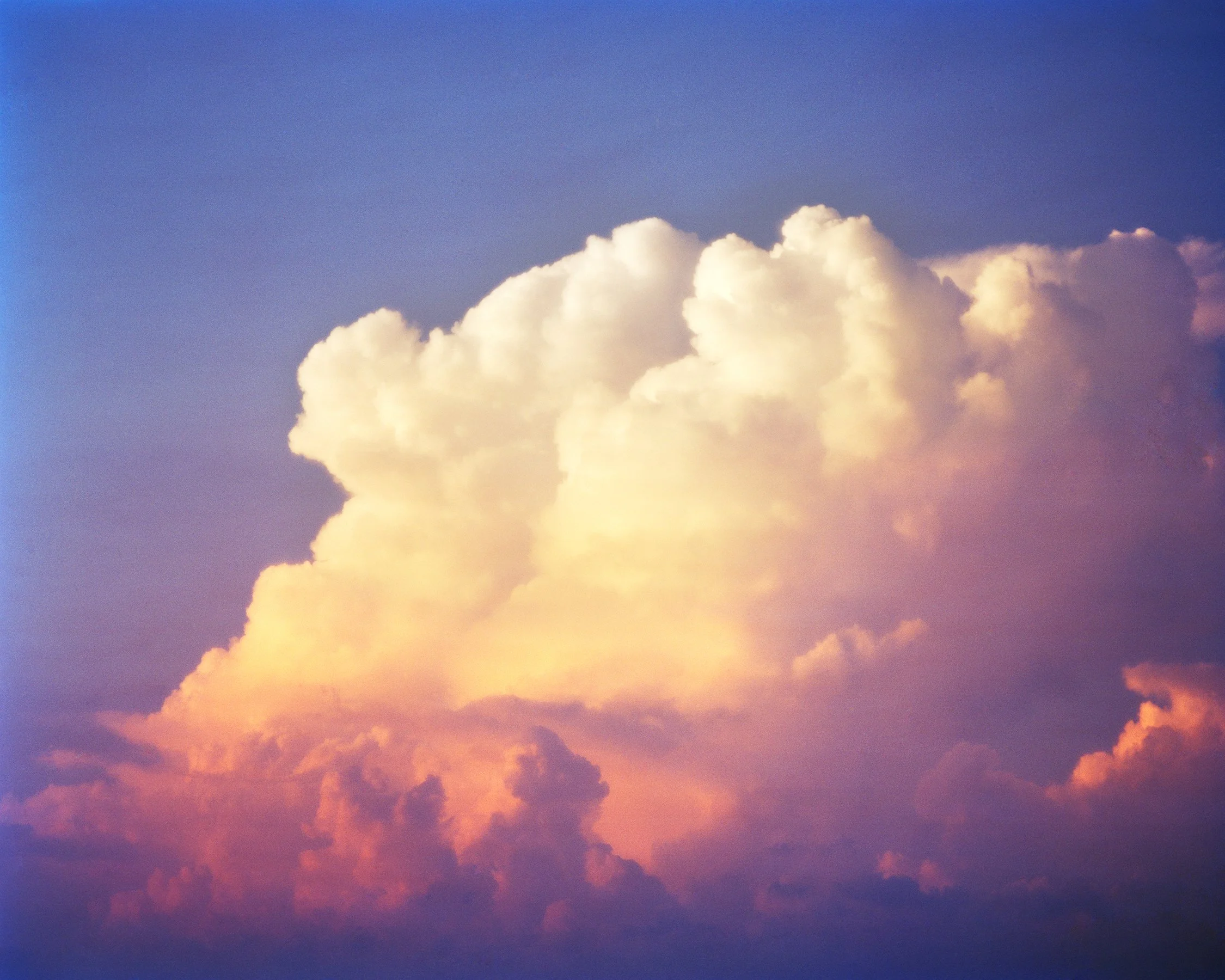  Ames (no. 3)  Thank you for the flowers  2017   