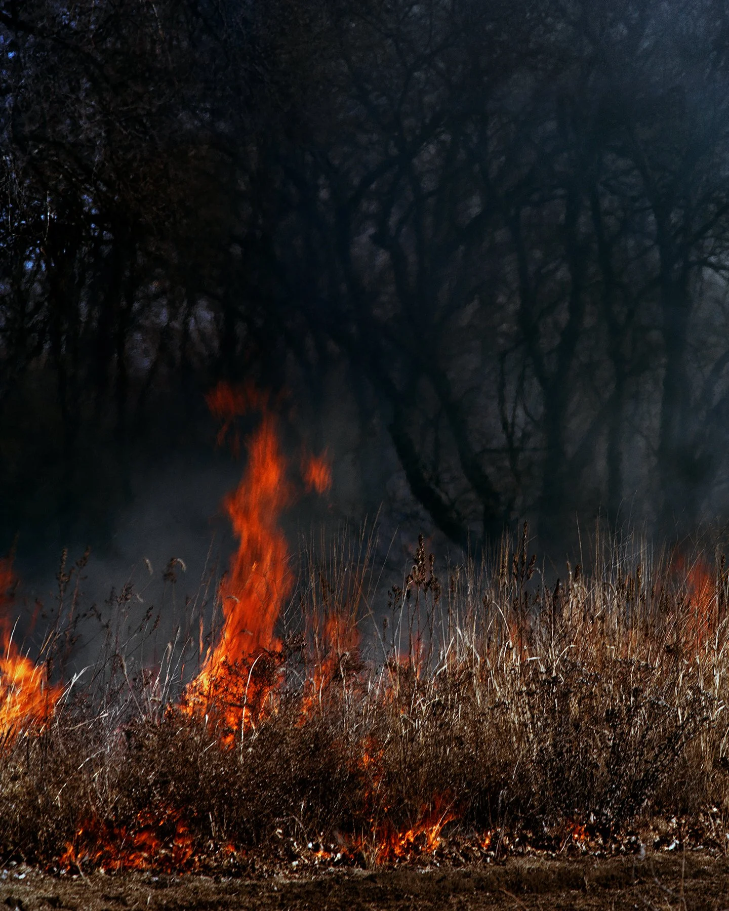  Des Moines  Thank you for the flowers  2017   