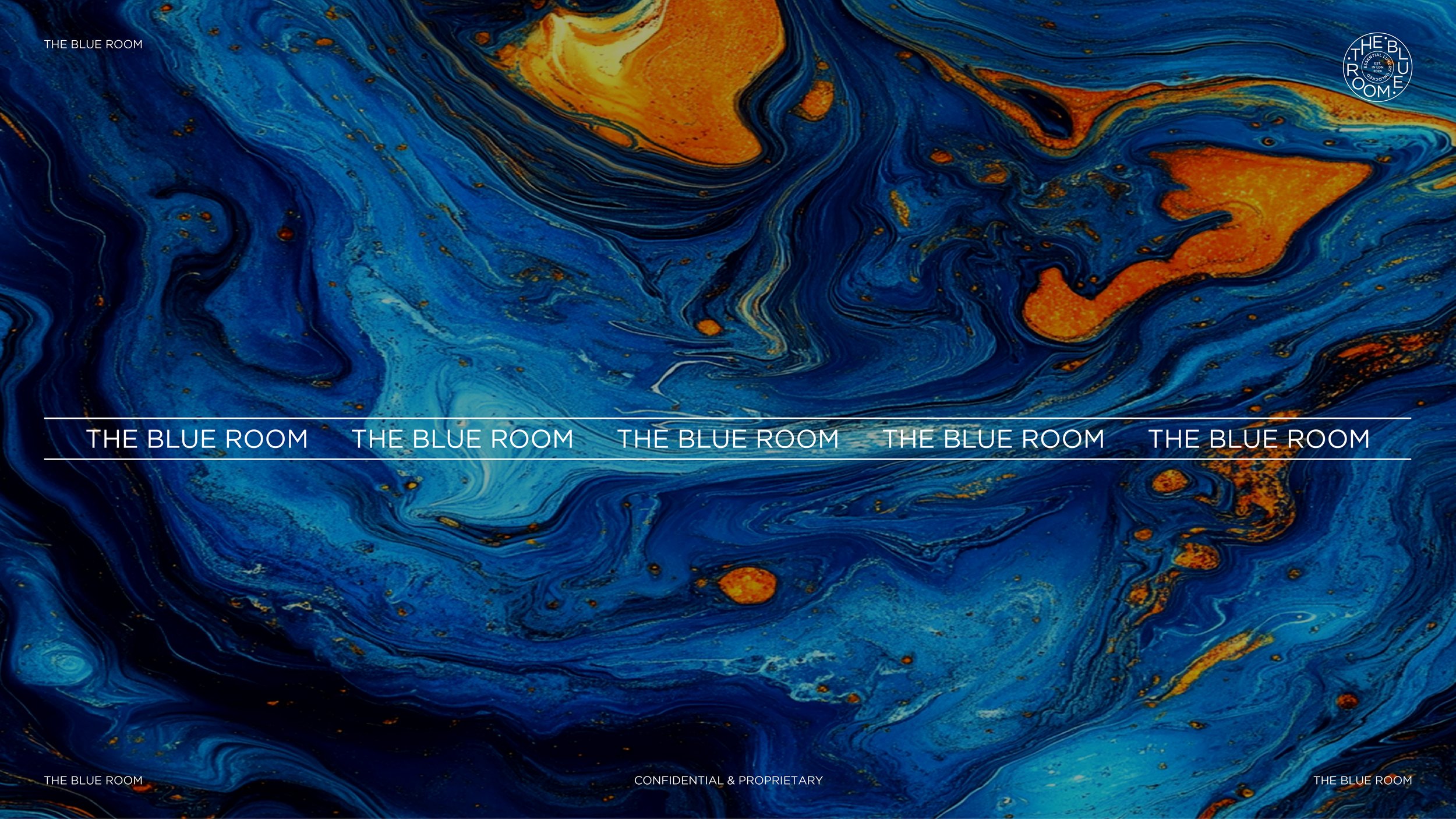 The Blue Room Presentation v1-02.jpg