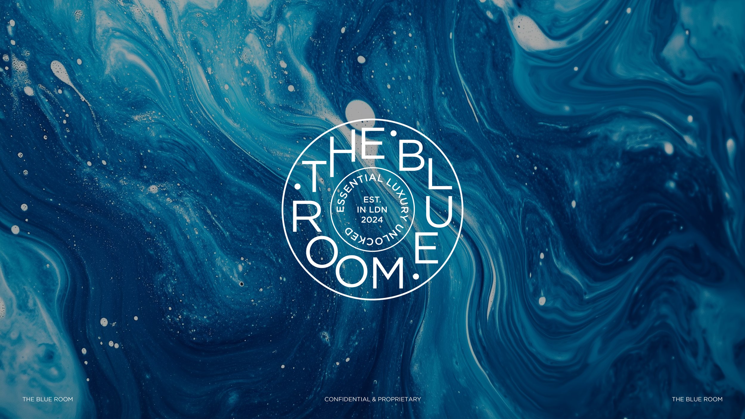 The Blue Room Presentation v1-01.jpg