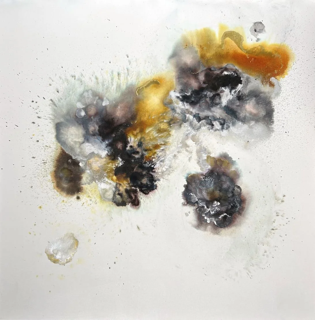 New Light - 48 x 48"