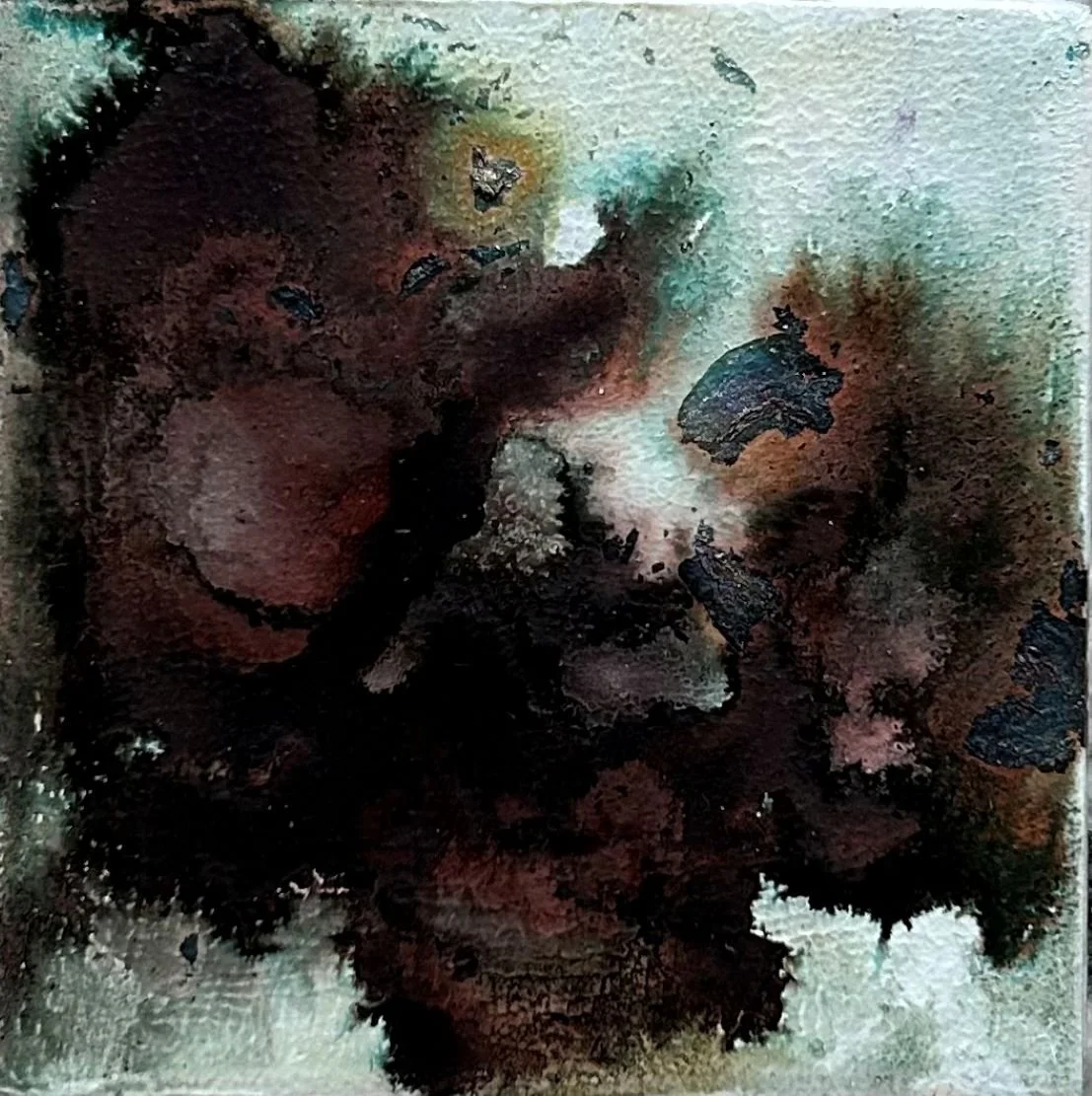 CloudBloom4x4_2025_web.jpg