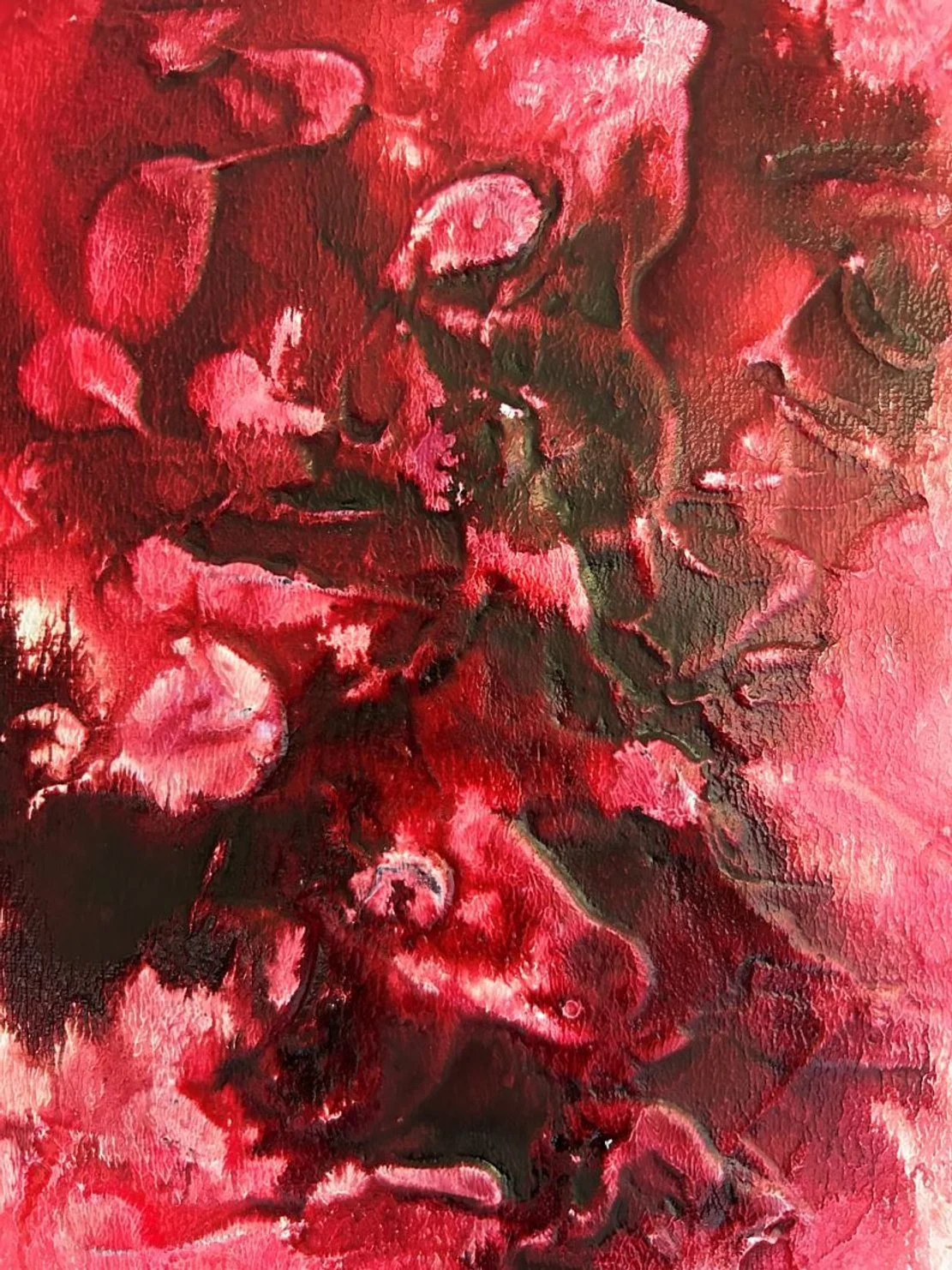 ScarletBloom9x12_2025_web.jpg