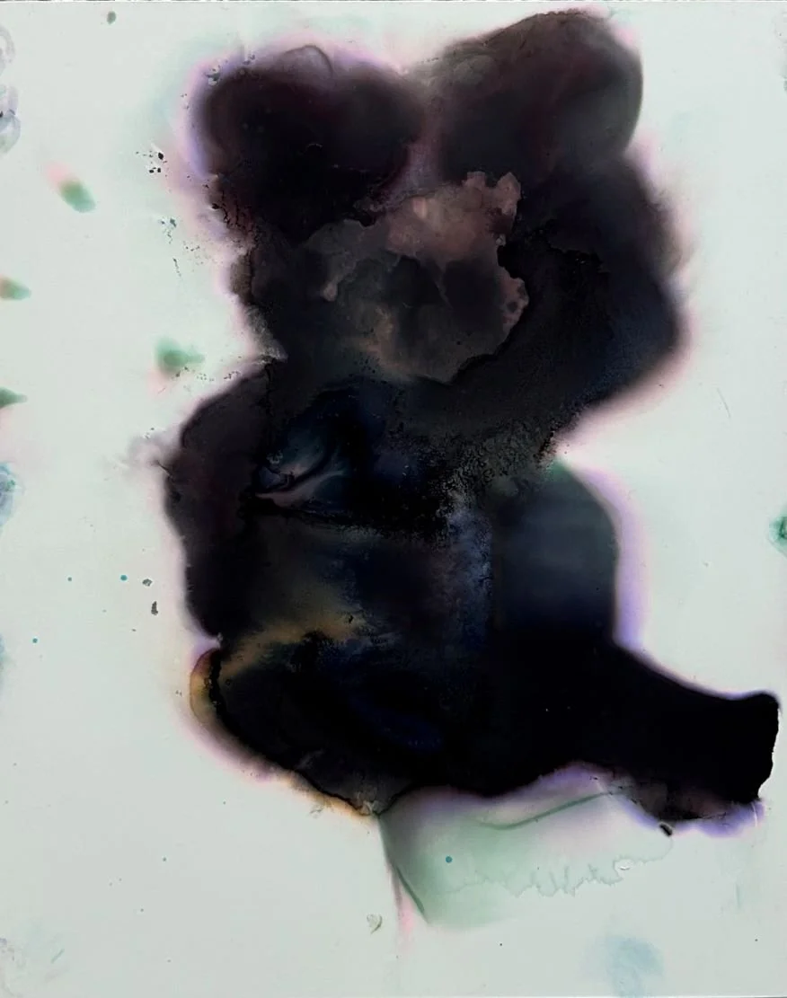 SilentRoam8x10_2025_web.jpg
