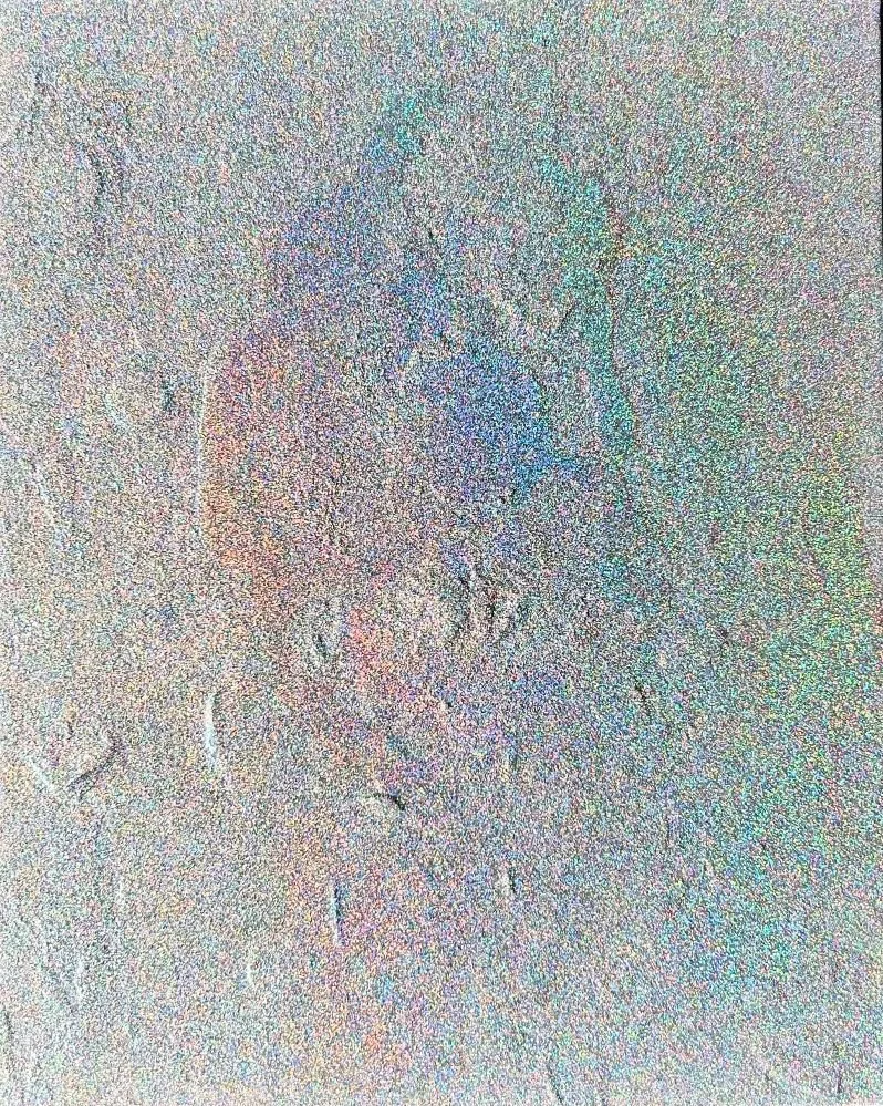 LiminalReflection16x20_2026 - Copy.jpg
