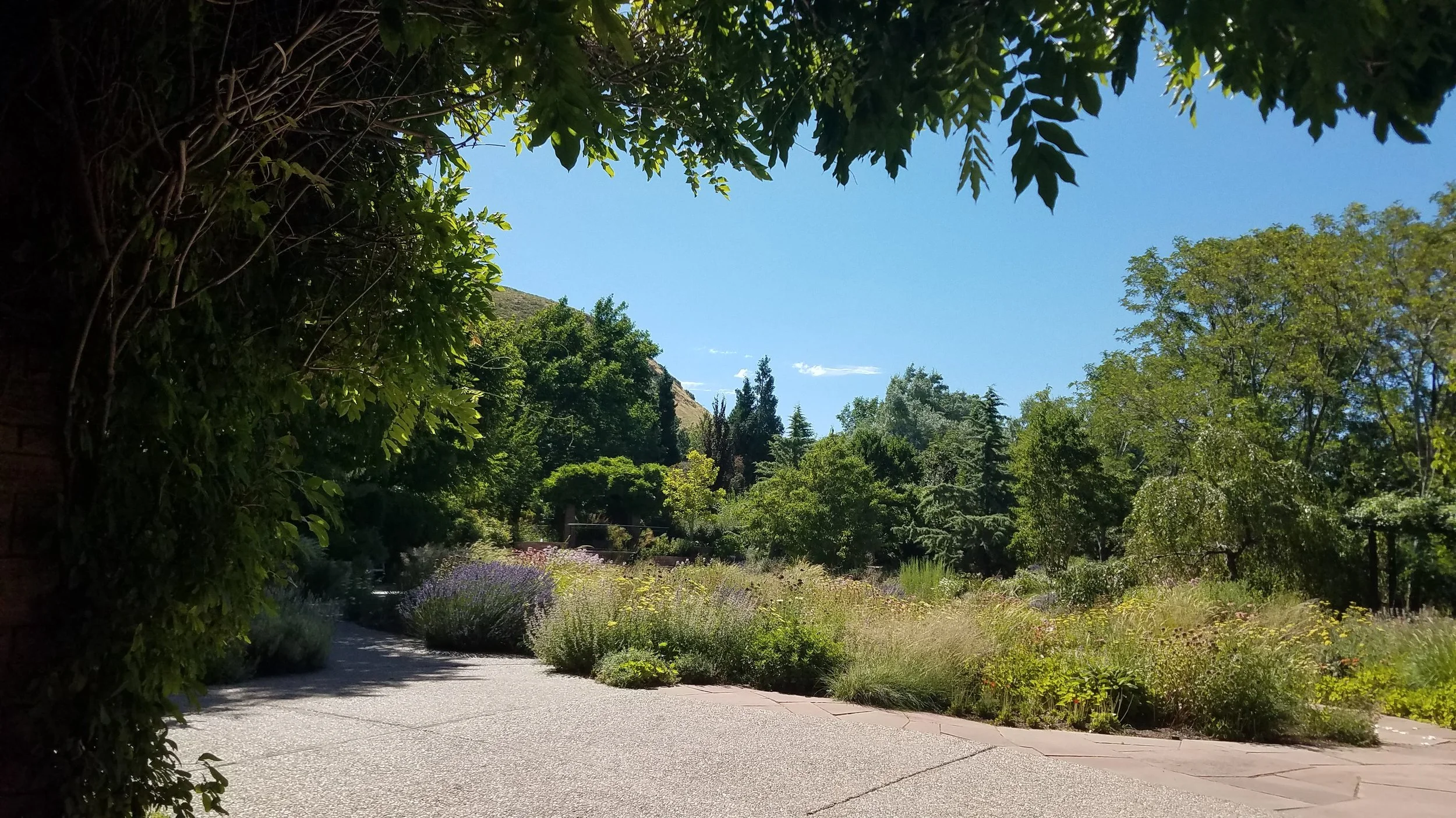 20190720_105935.jpg