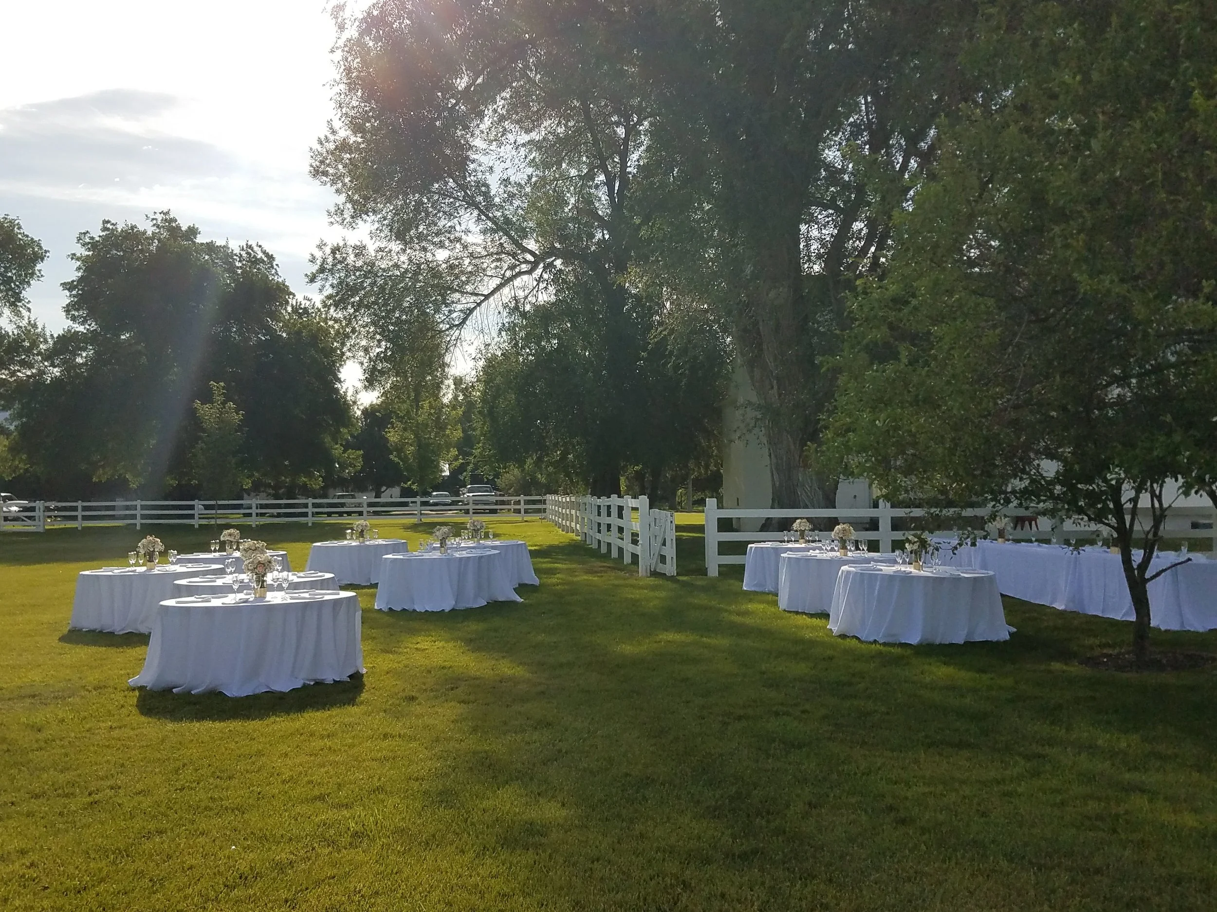 Wedding Breakfast