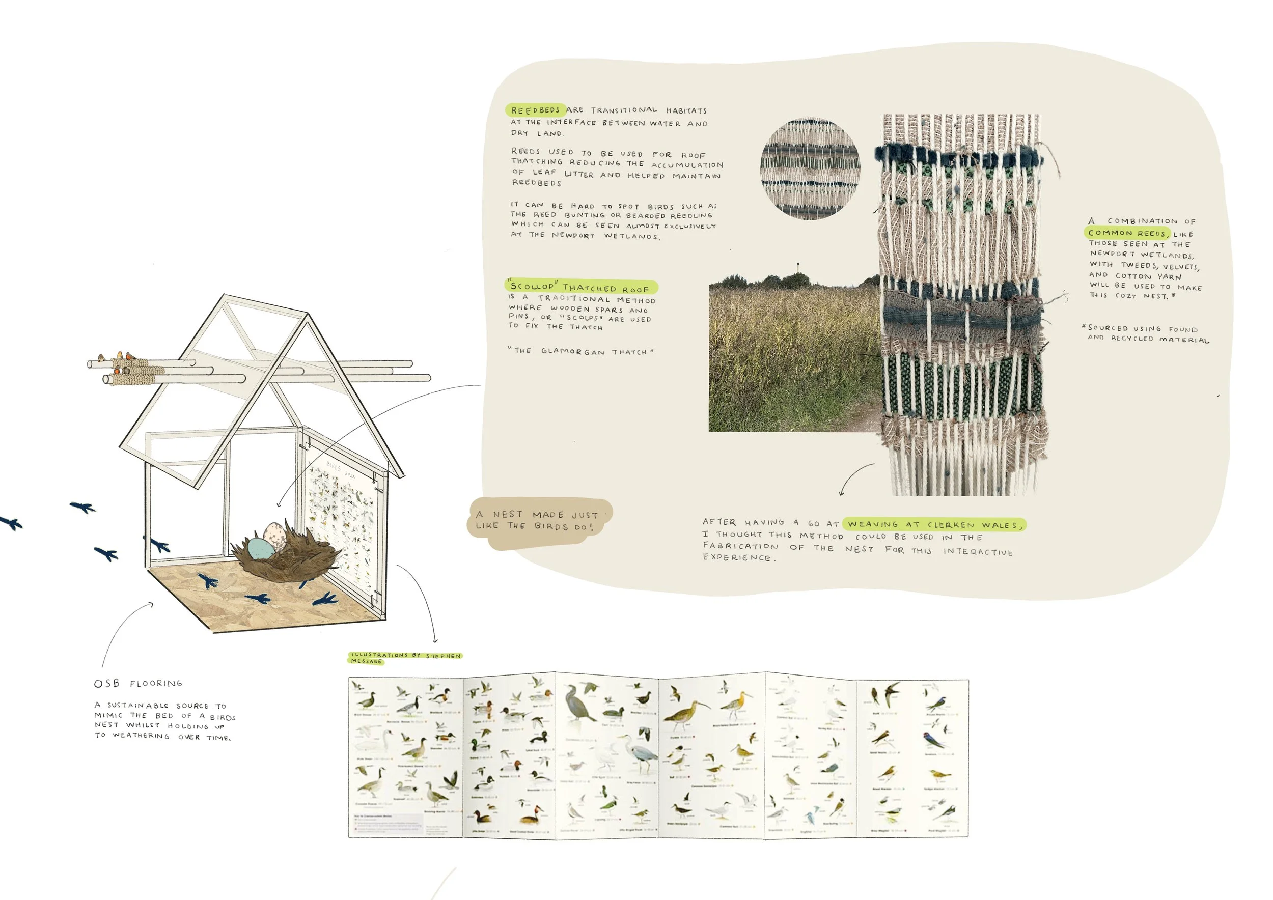 04 Nest_+_Illustrations.jpg