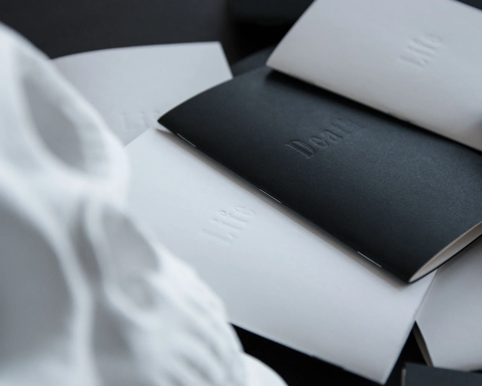 Life and Death sketchbooks