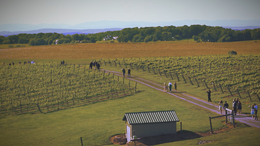 Screen Shot 2015-09-15 at 12.24.07 PM.png