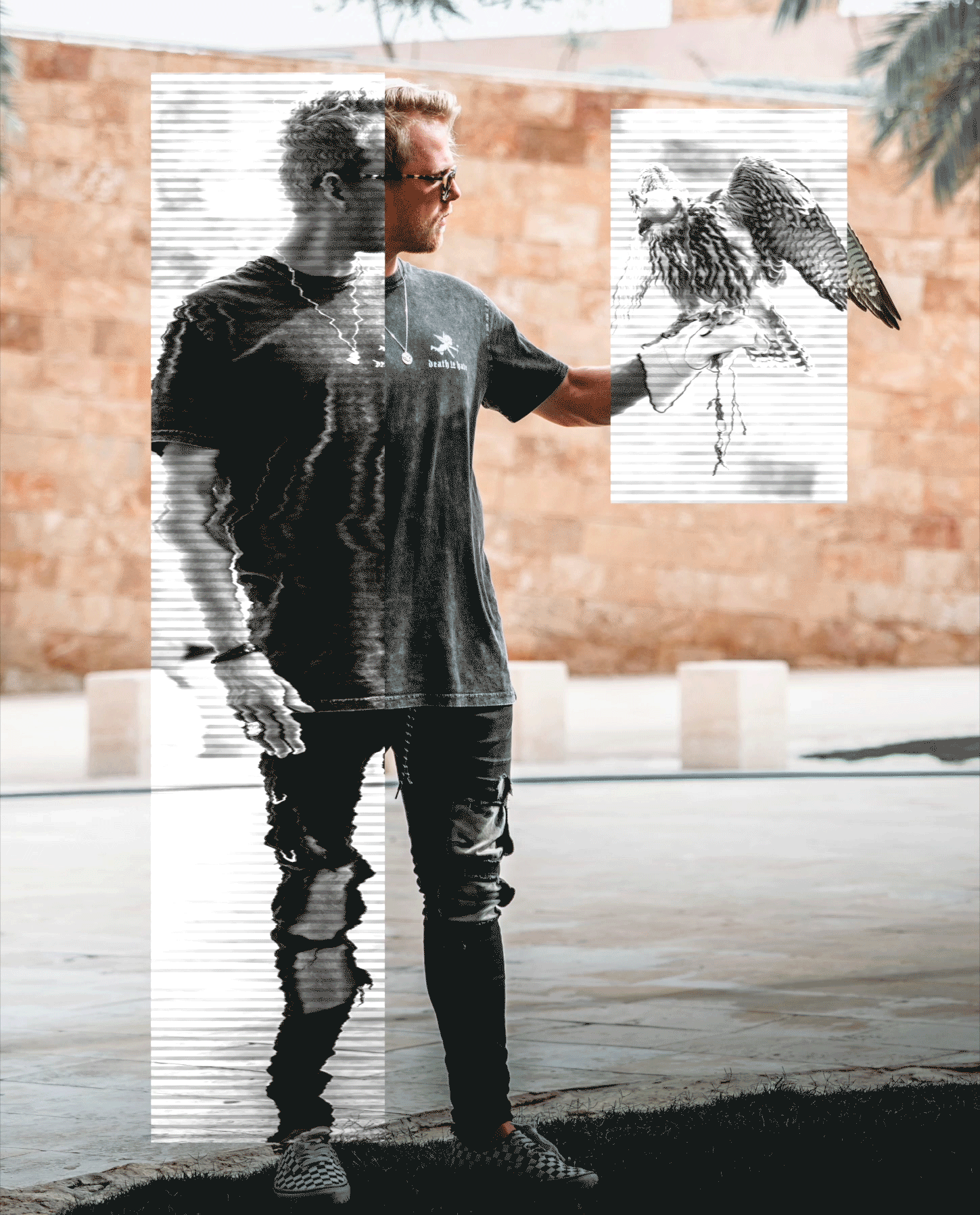 Twitch-Promo-4-Website-V1.gif