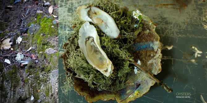 oysters_opheliachong.jpg