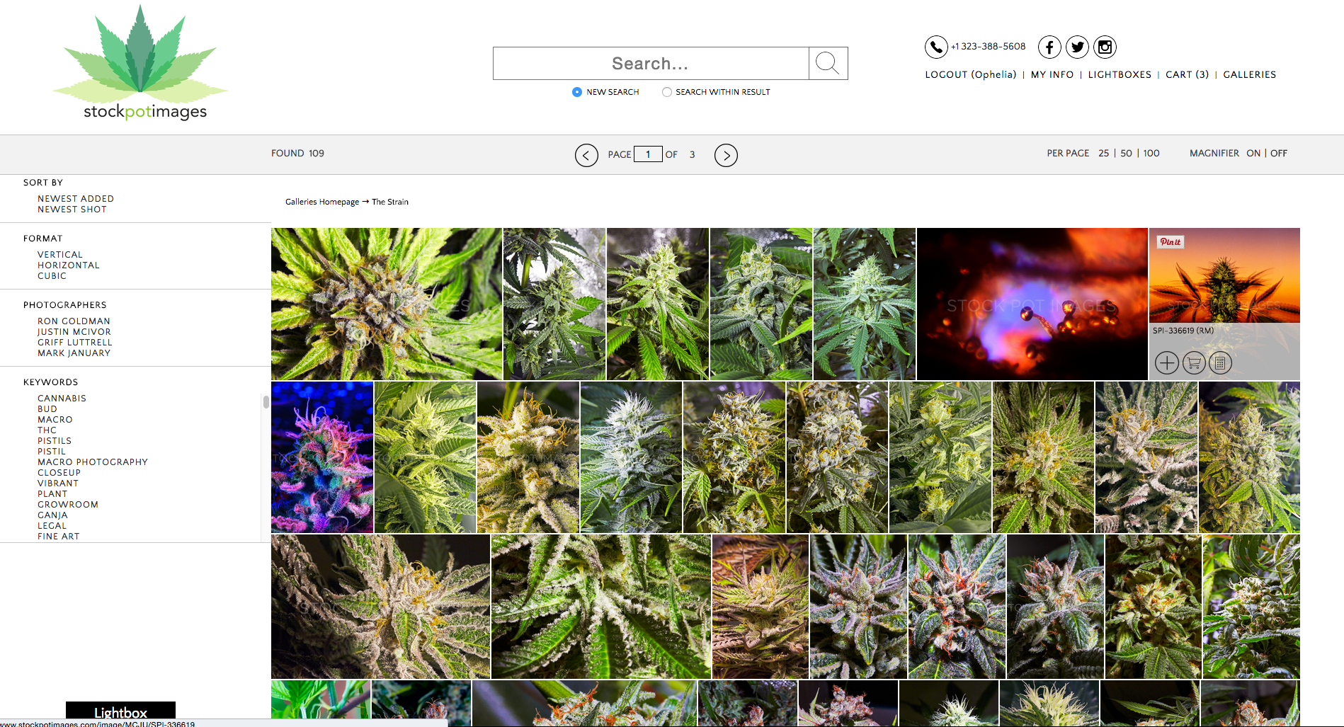 Screen Shot 2015-08-08 at 3.55.47 PM.png