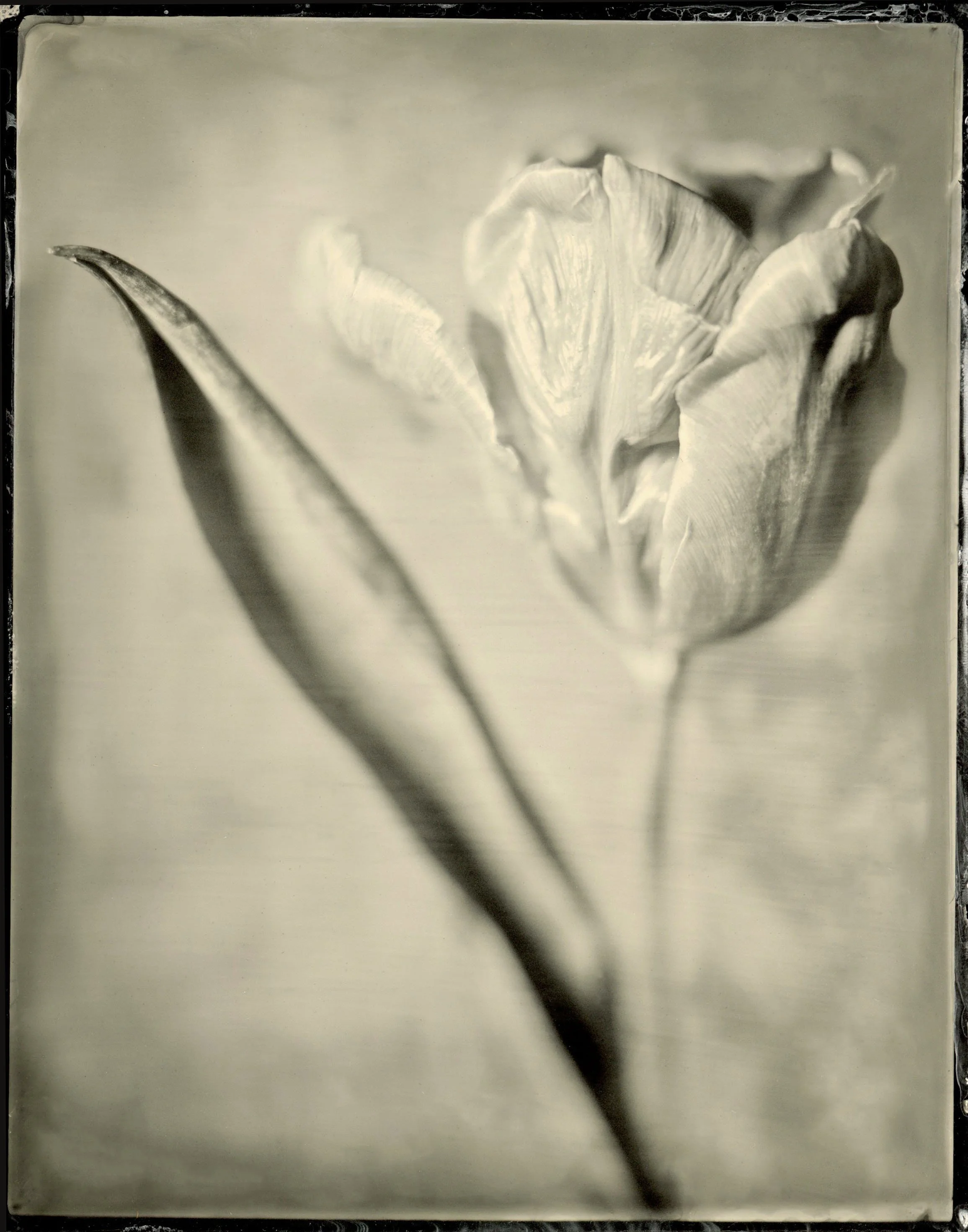 120film58.jpg