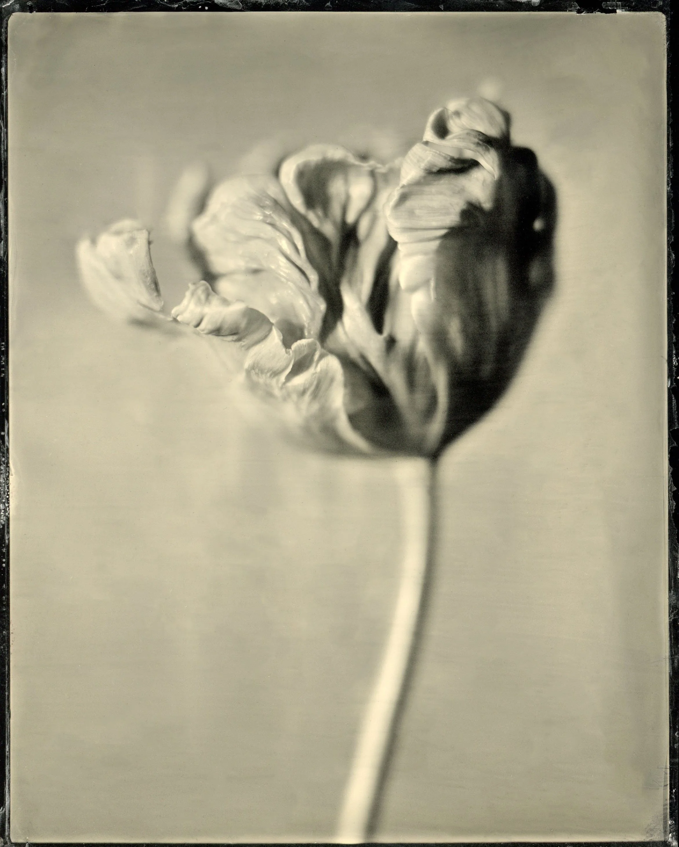 120film56.jpg