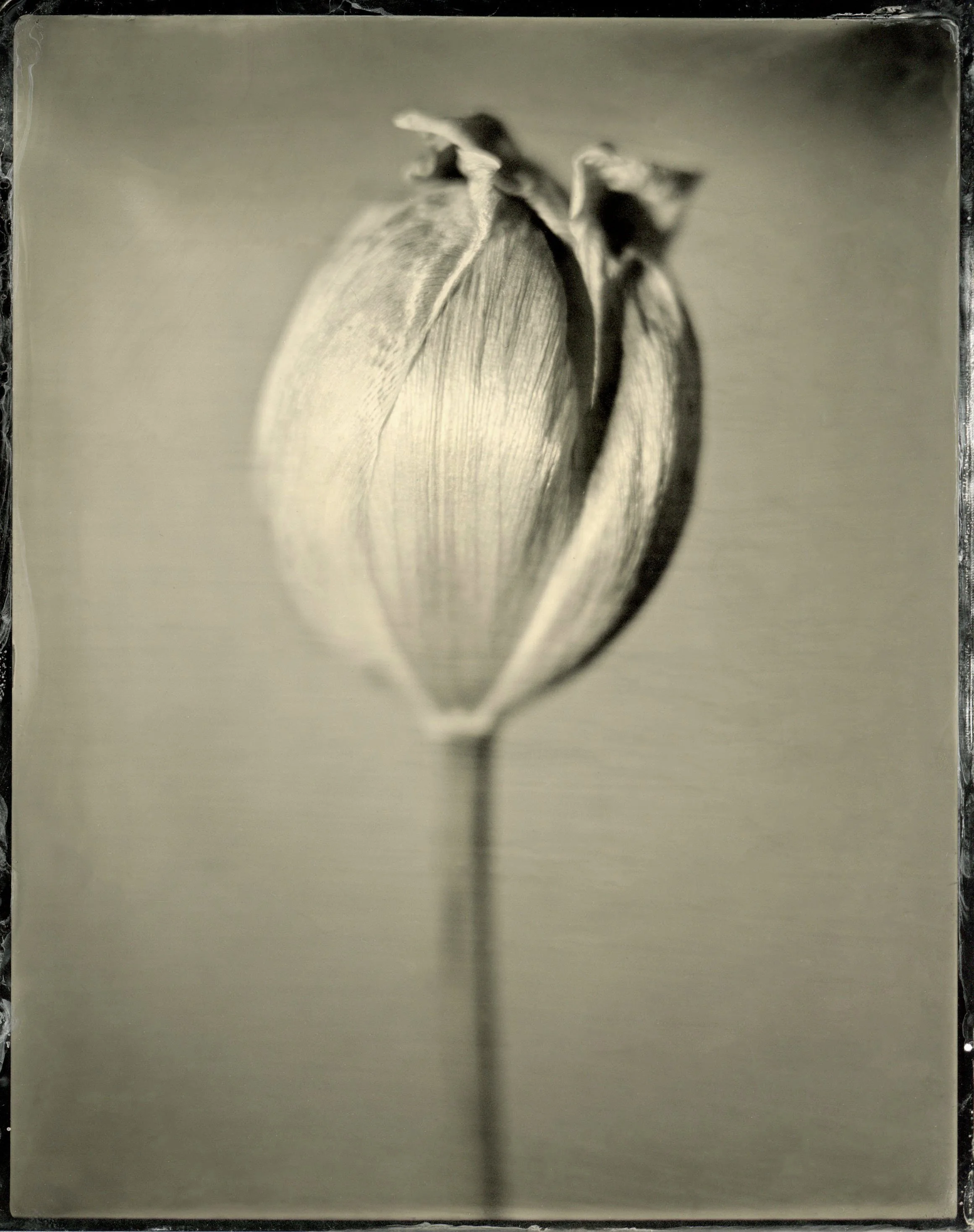 film09.jpg
