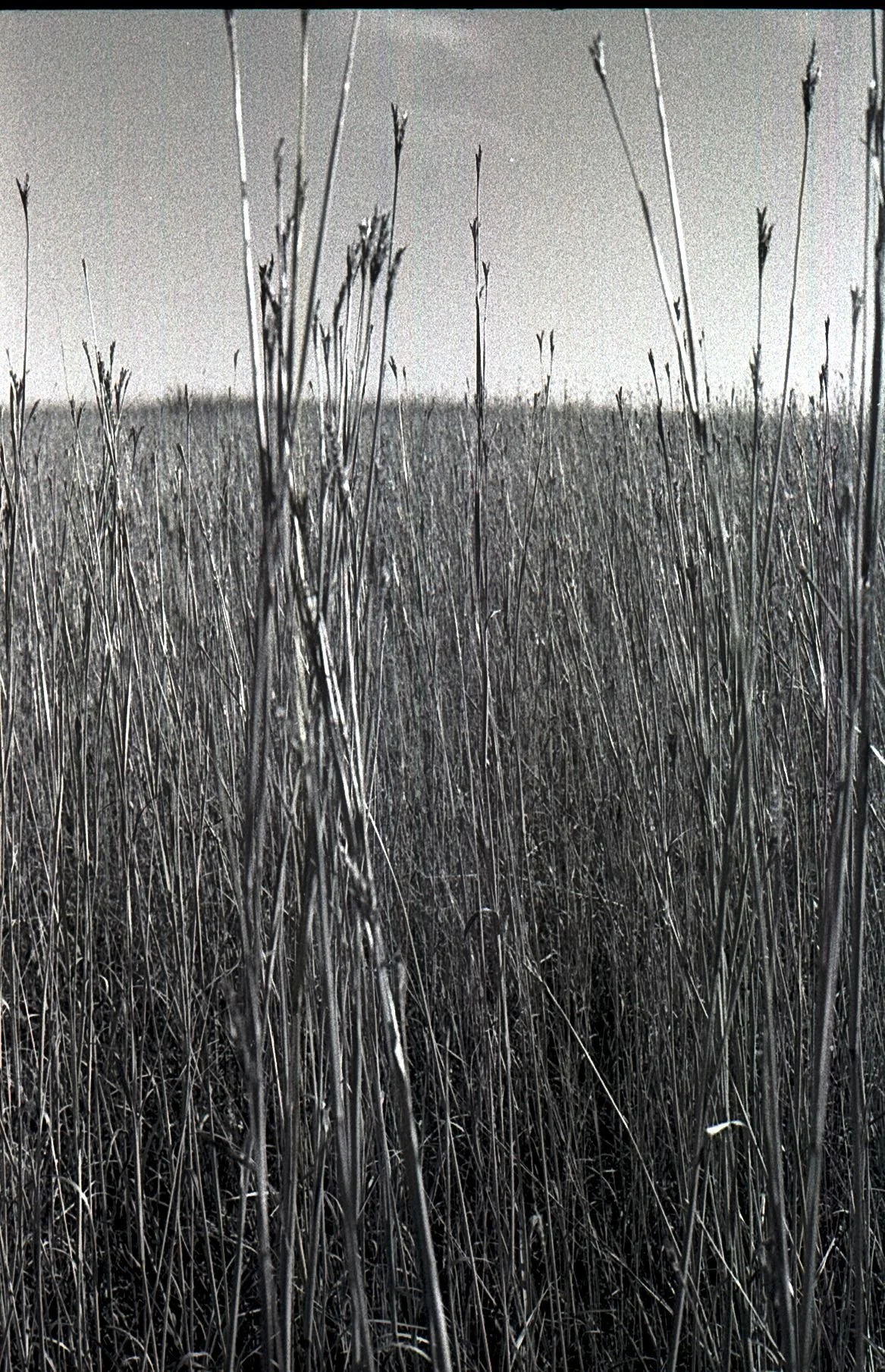 Image 1 020  10 19 29 38 57.jpg