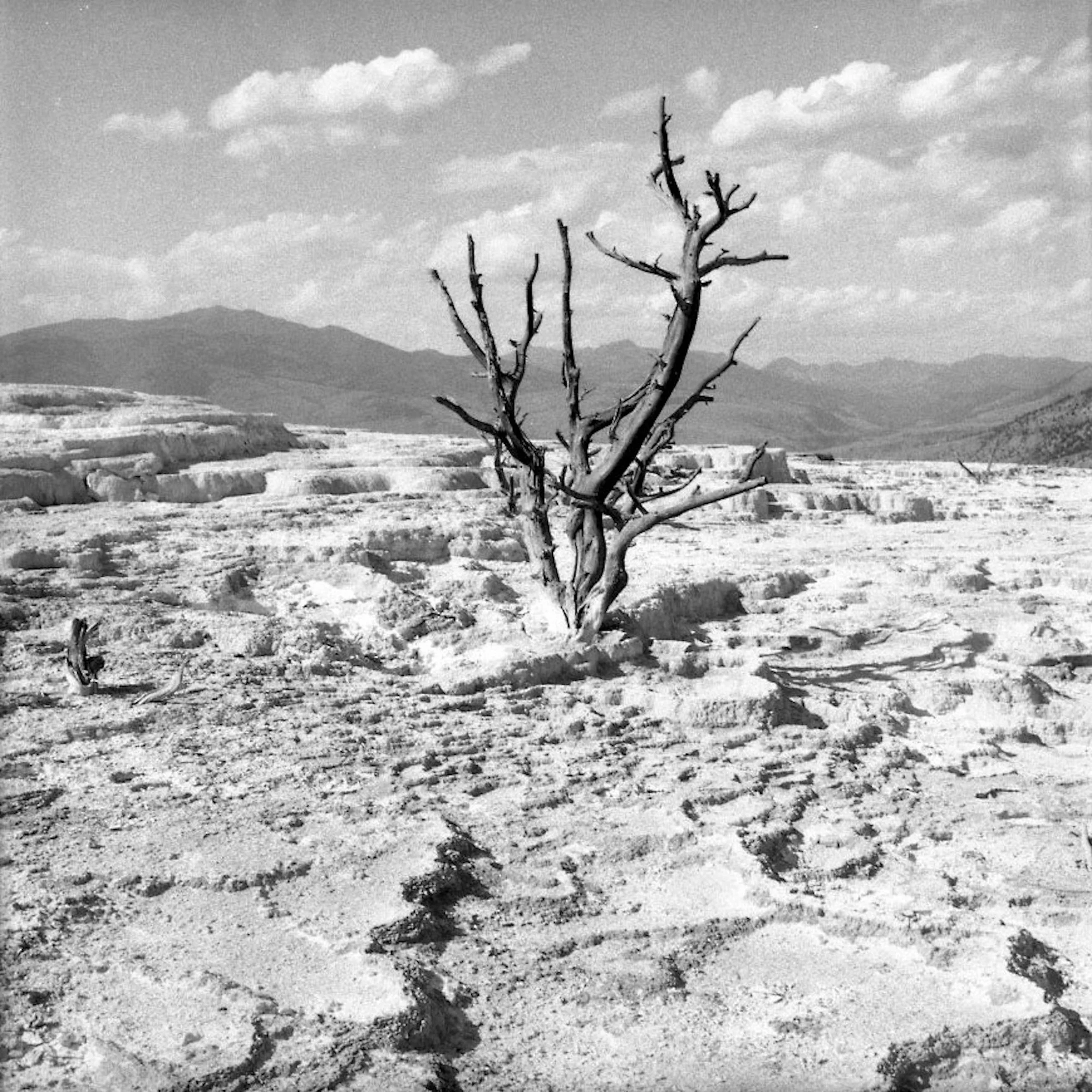 adventure035.jpg