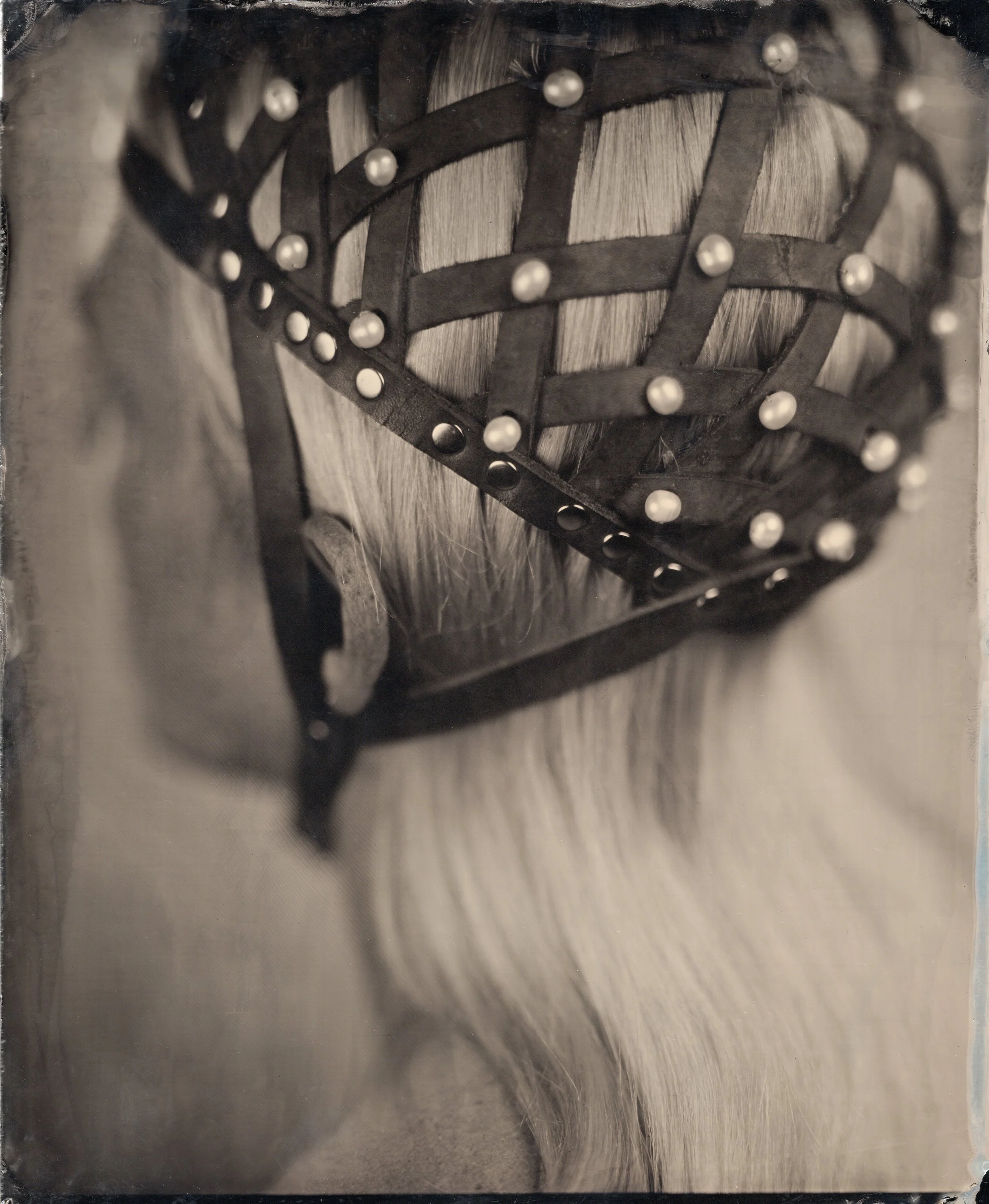Tintype0643.jpg