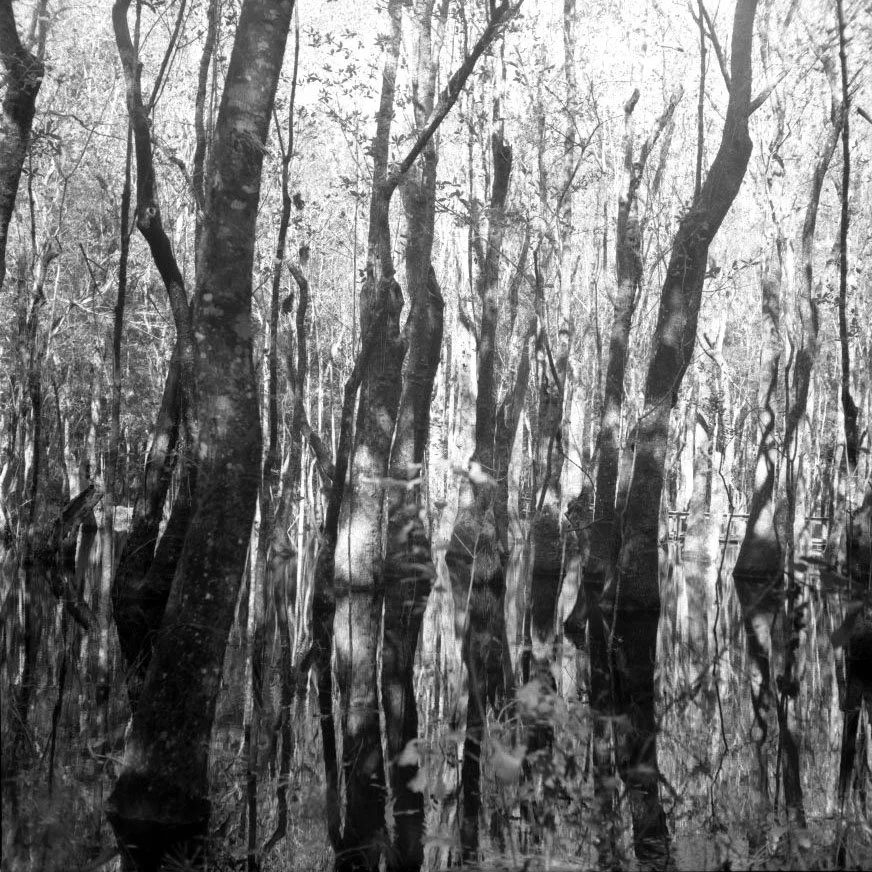 film1424.jpg