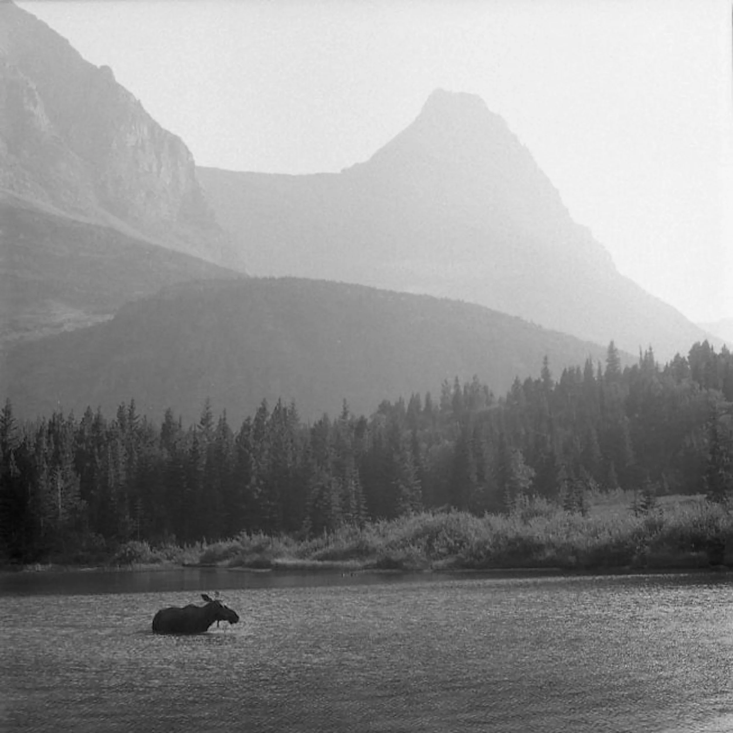 img421.jpg