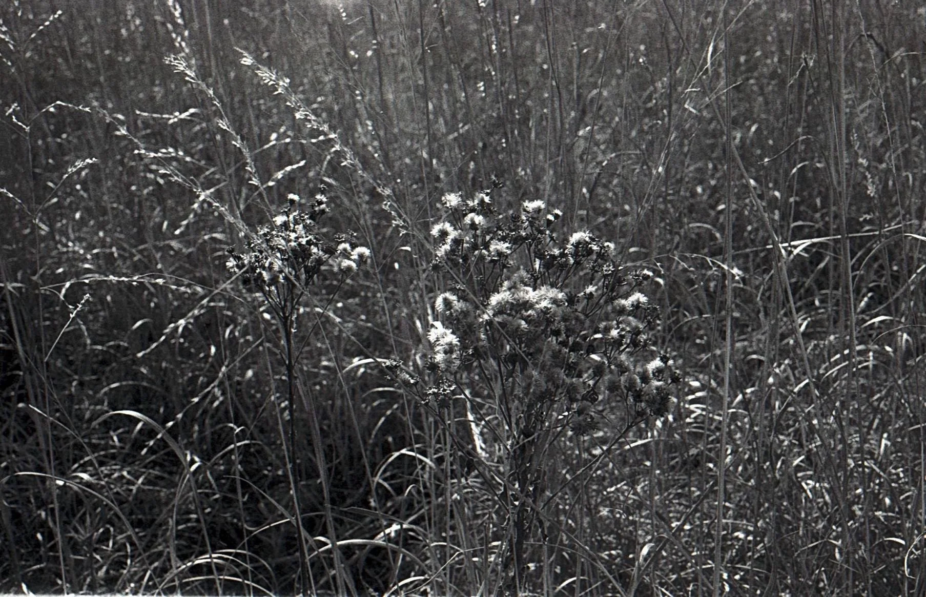 Image 1 020  10 19 29 38 52.jpg