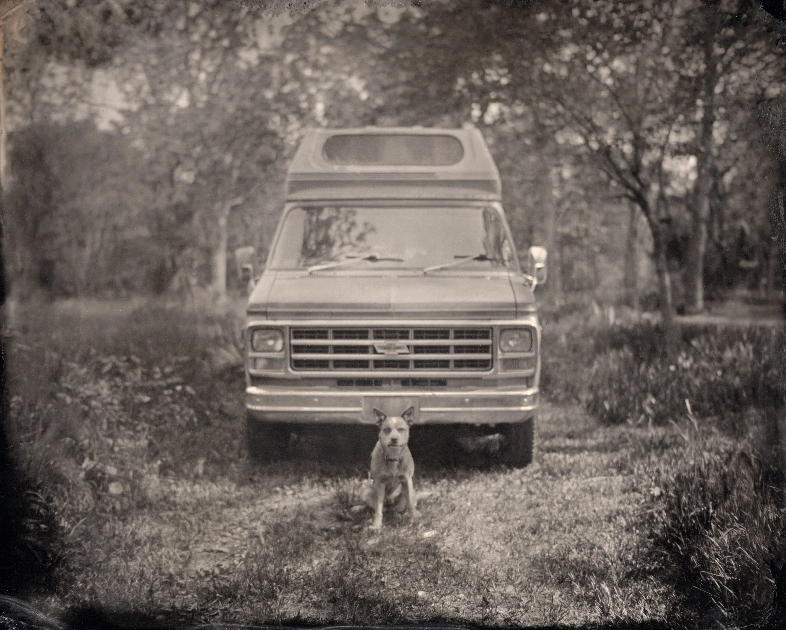 tintypes100.jpg