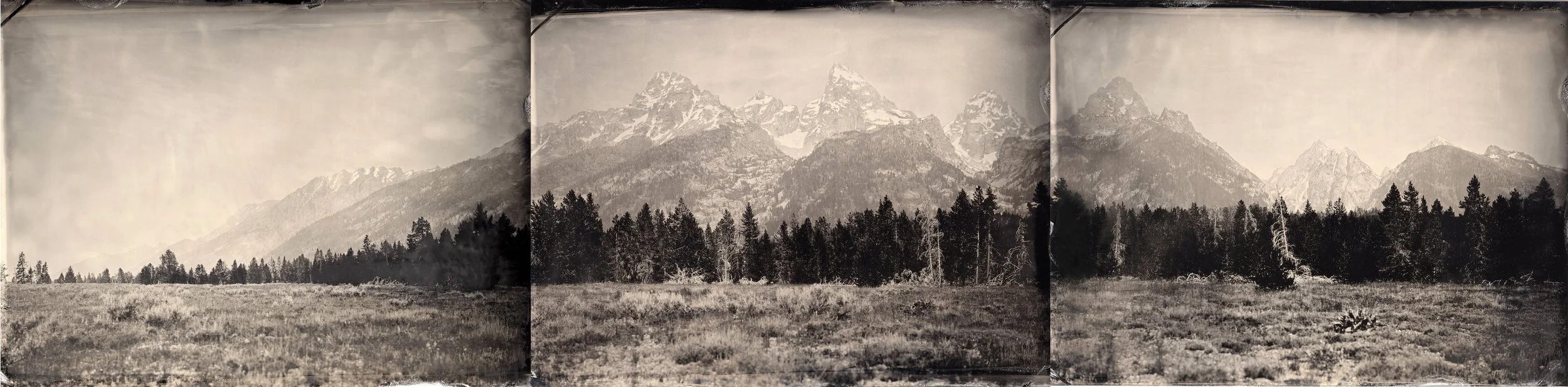 tetonstriptych.jpg
