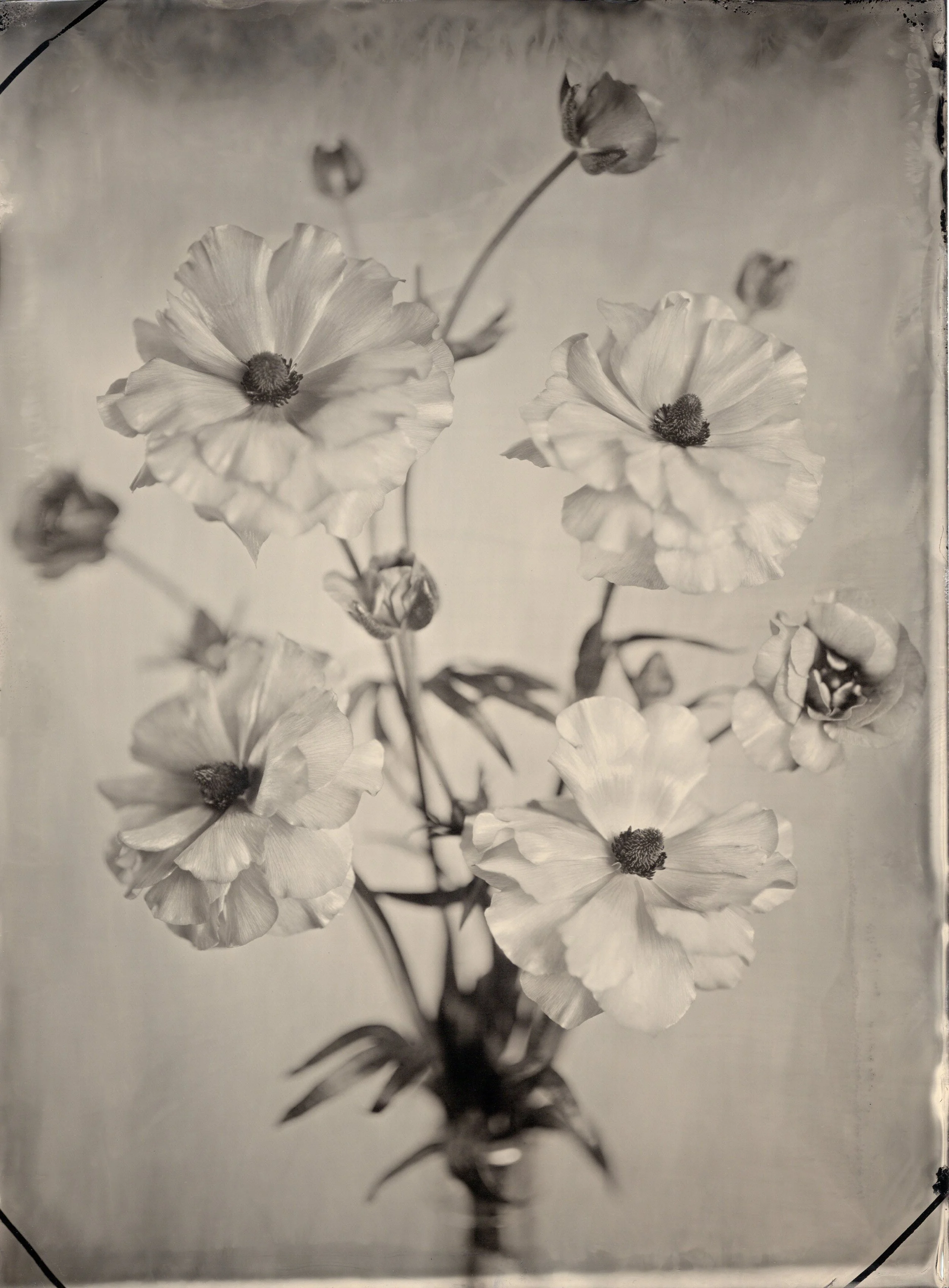 tintypes069.jpg