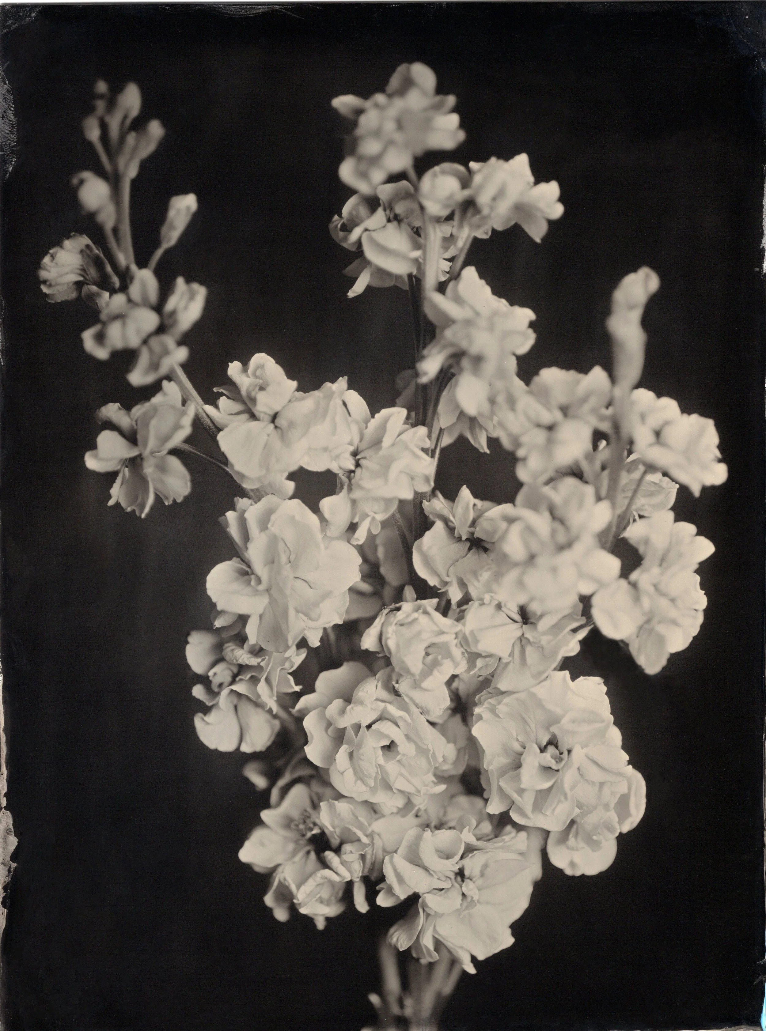 tintypes068.jpg