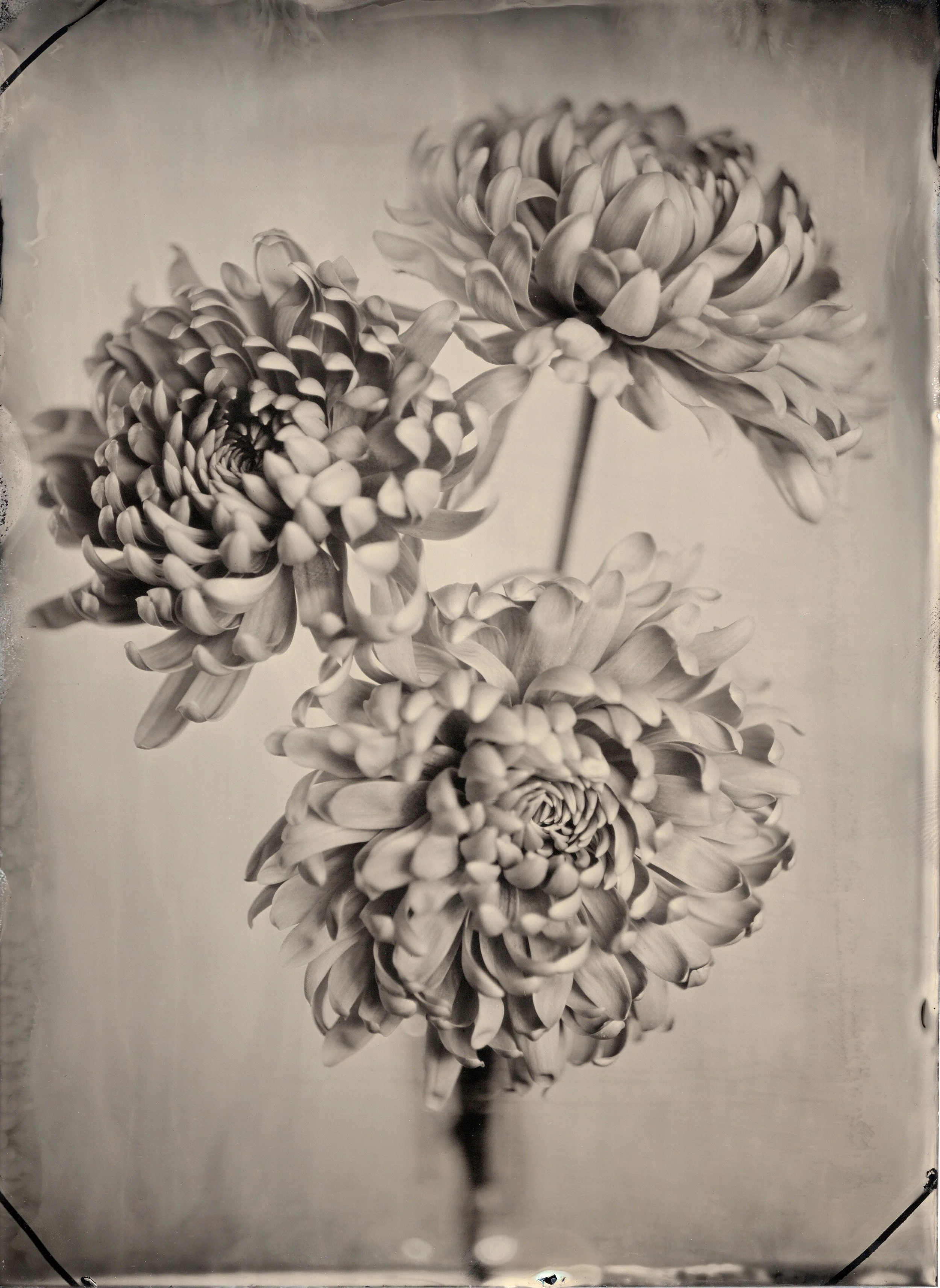 tintypes072.jpg