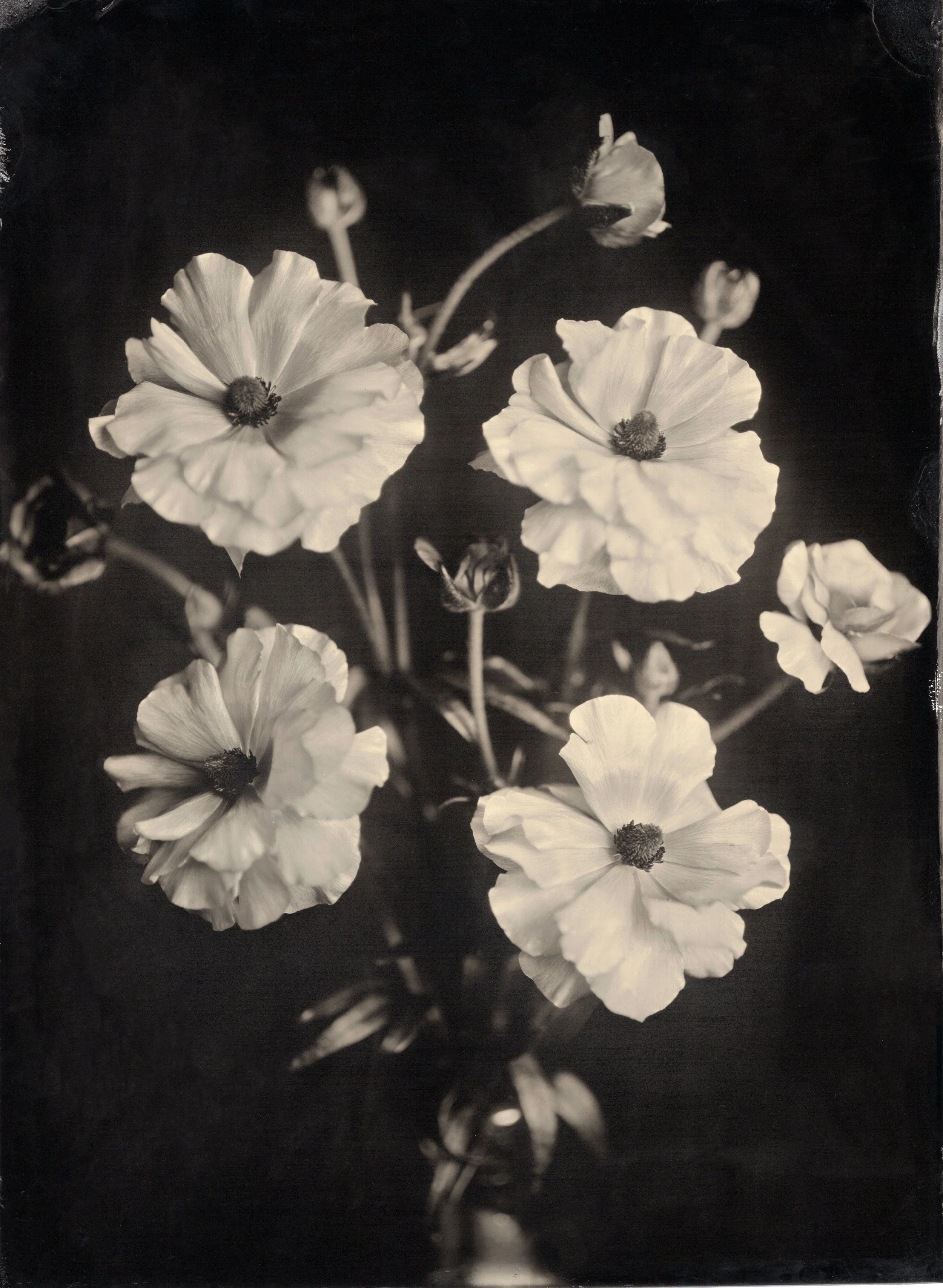 tintypes067.jpg