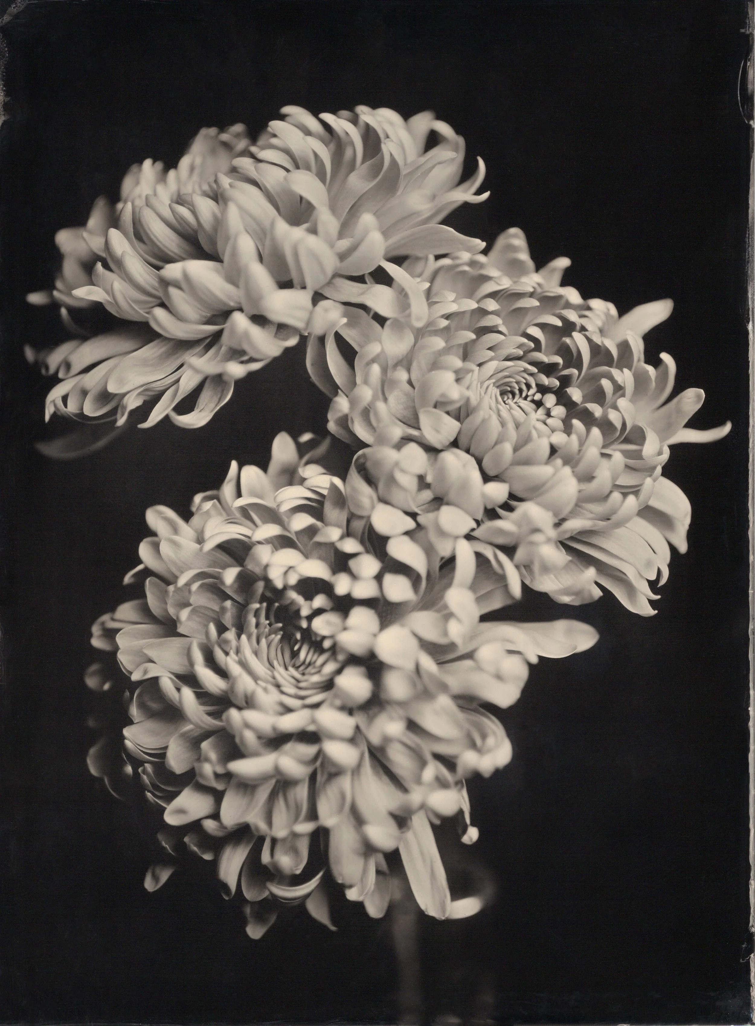 tintypes061.jpg