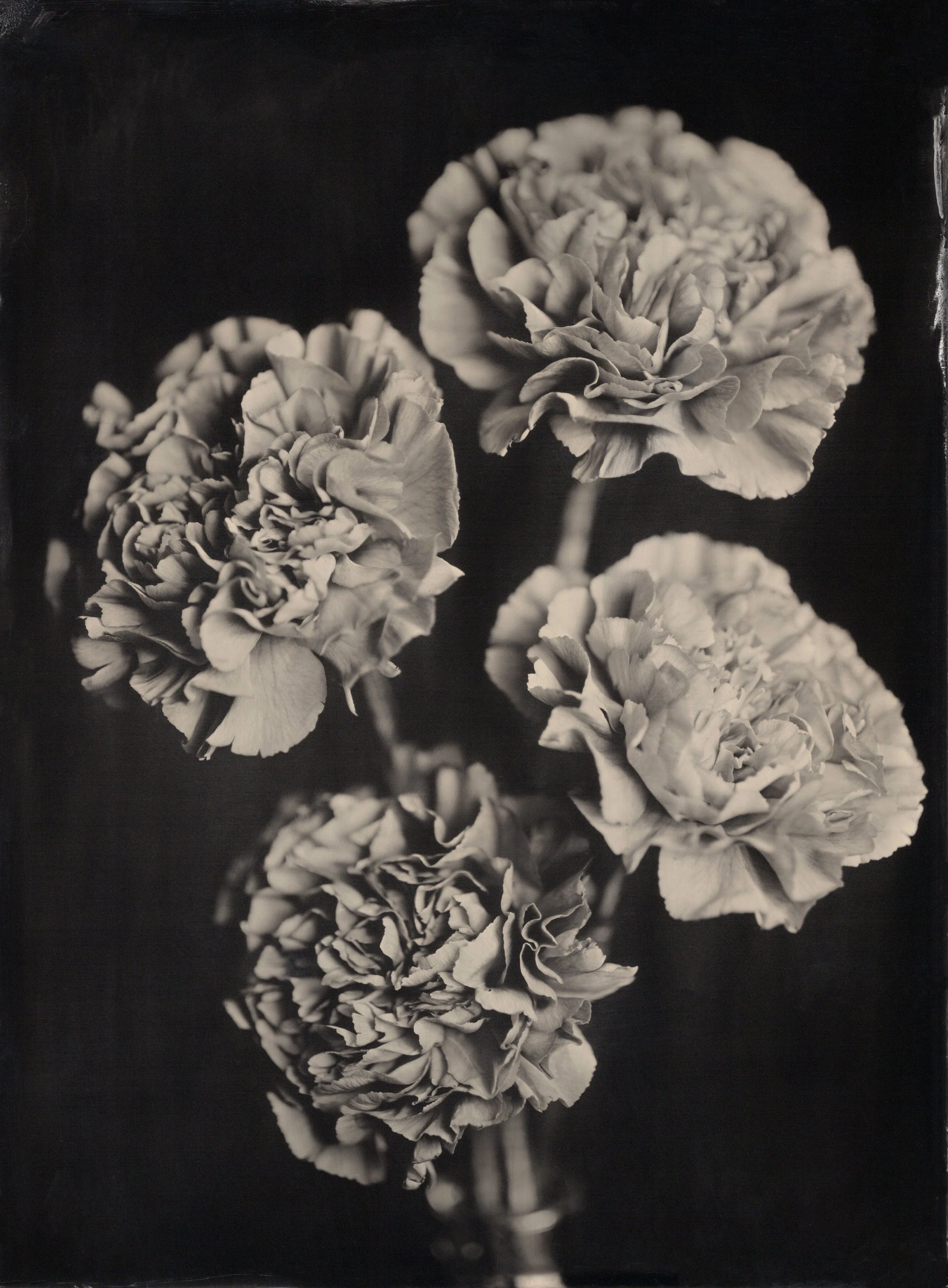 tintypes059.jpg