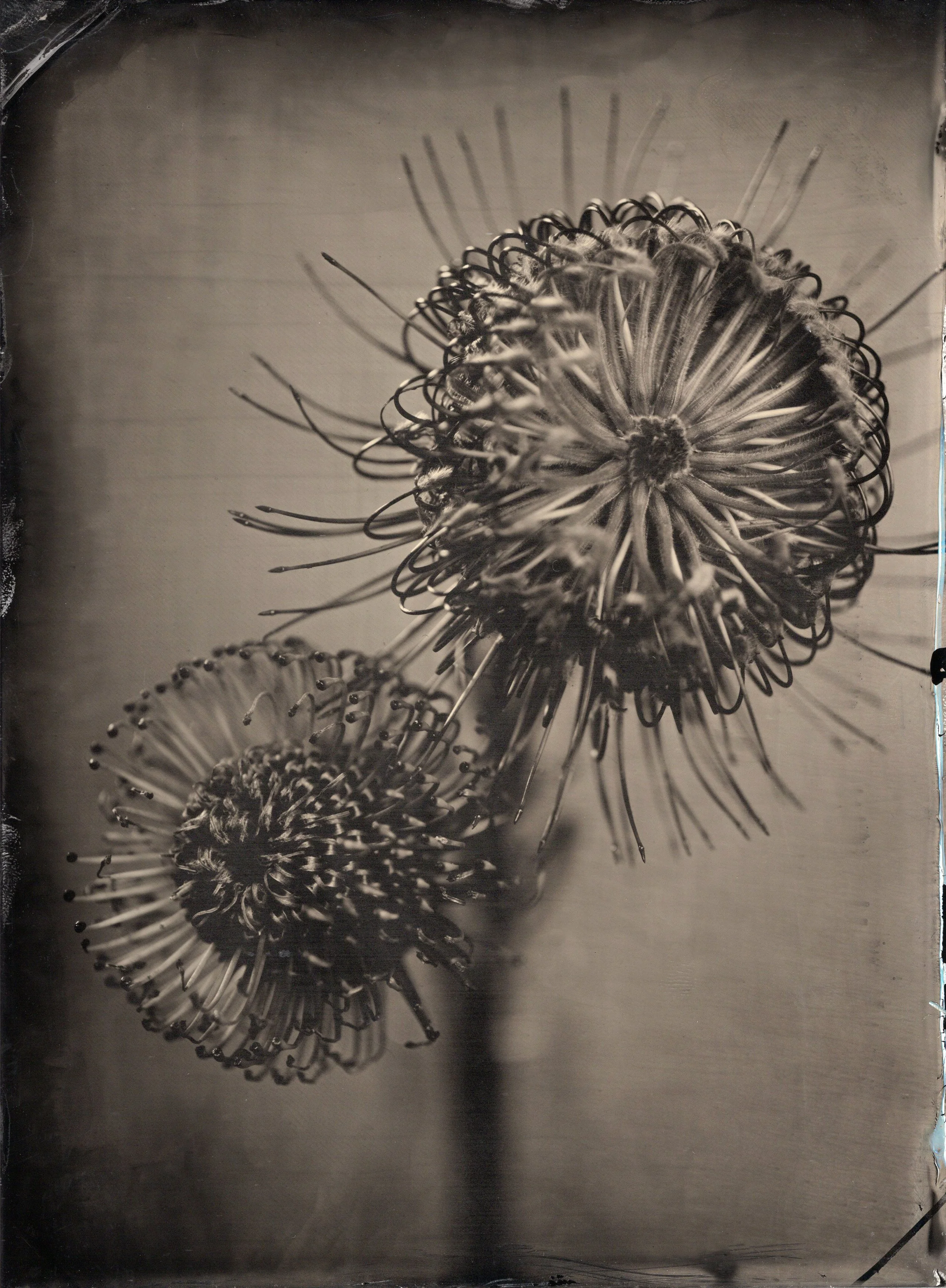 tintypes040.jpg